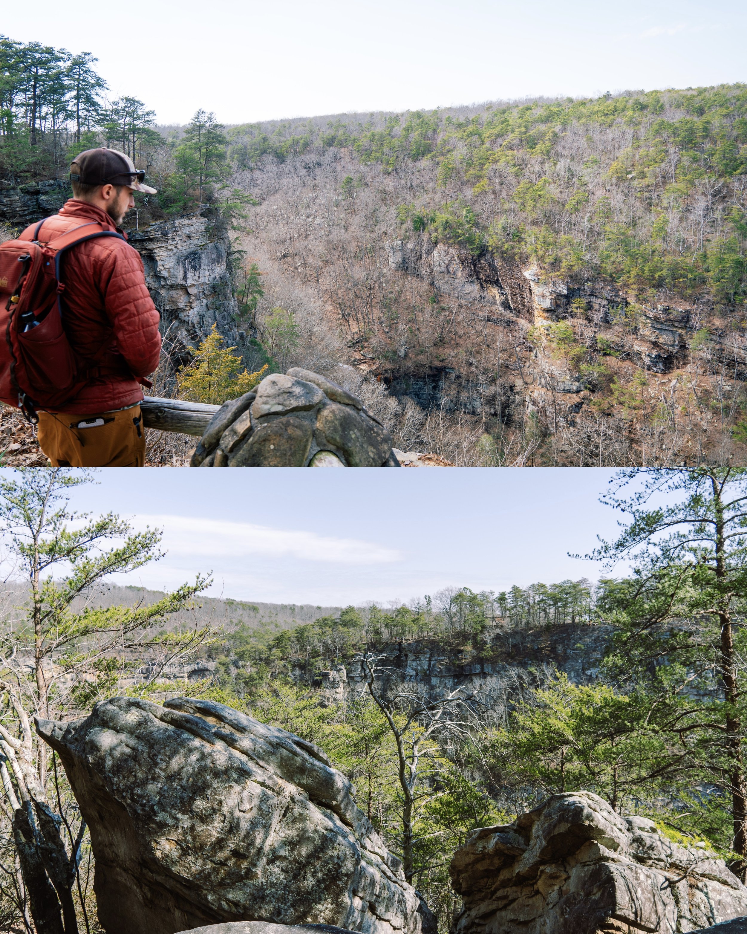 Cloudland Canyon State Park; one of Georgia's biggest and most scenic parks