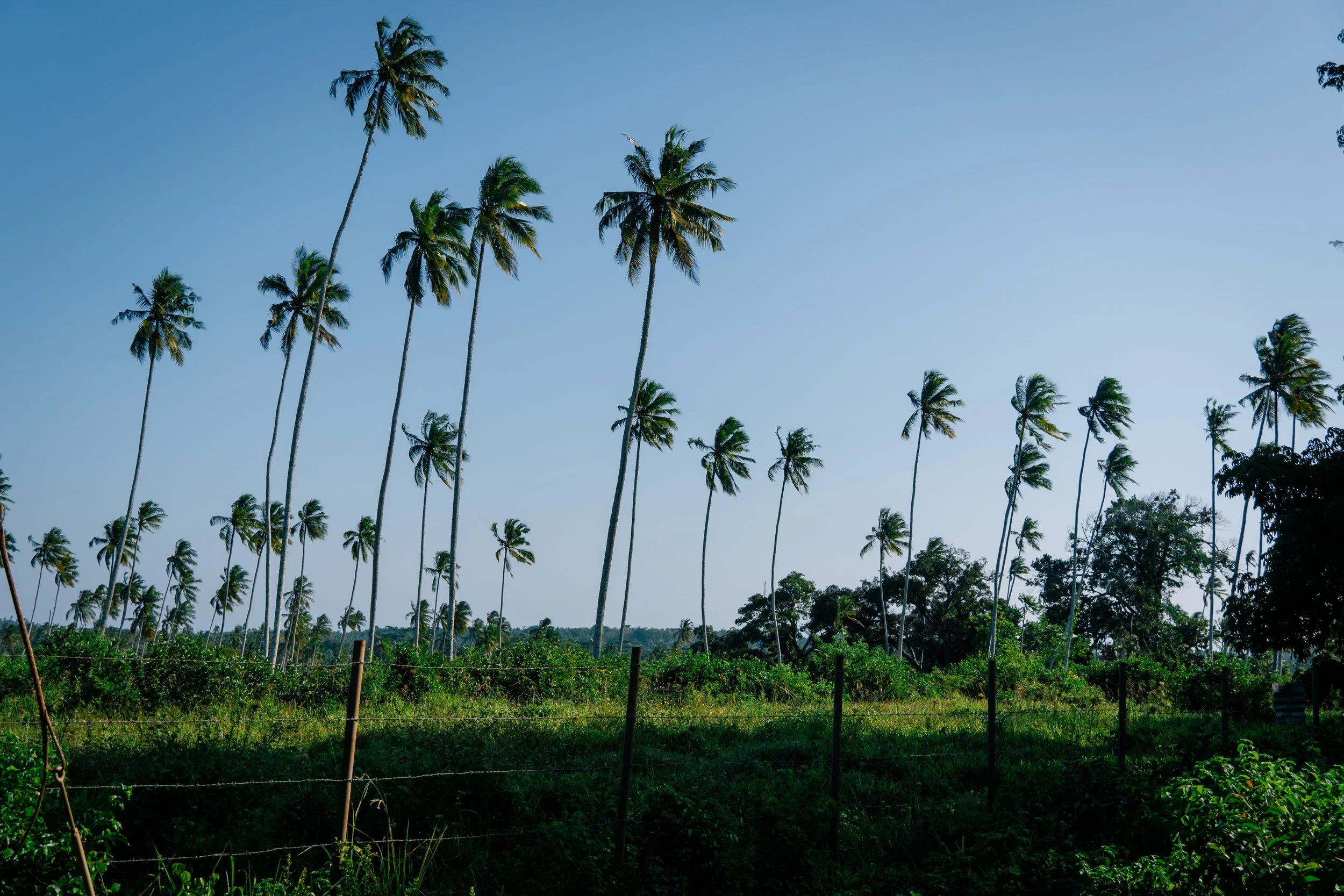 Great Migration-39.jpg