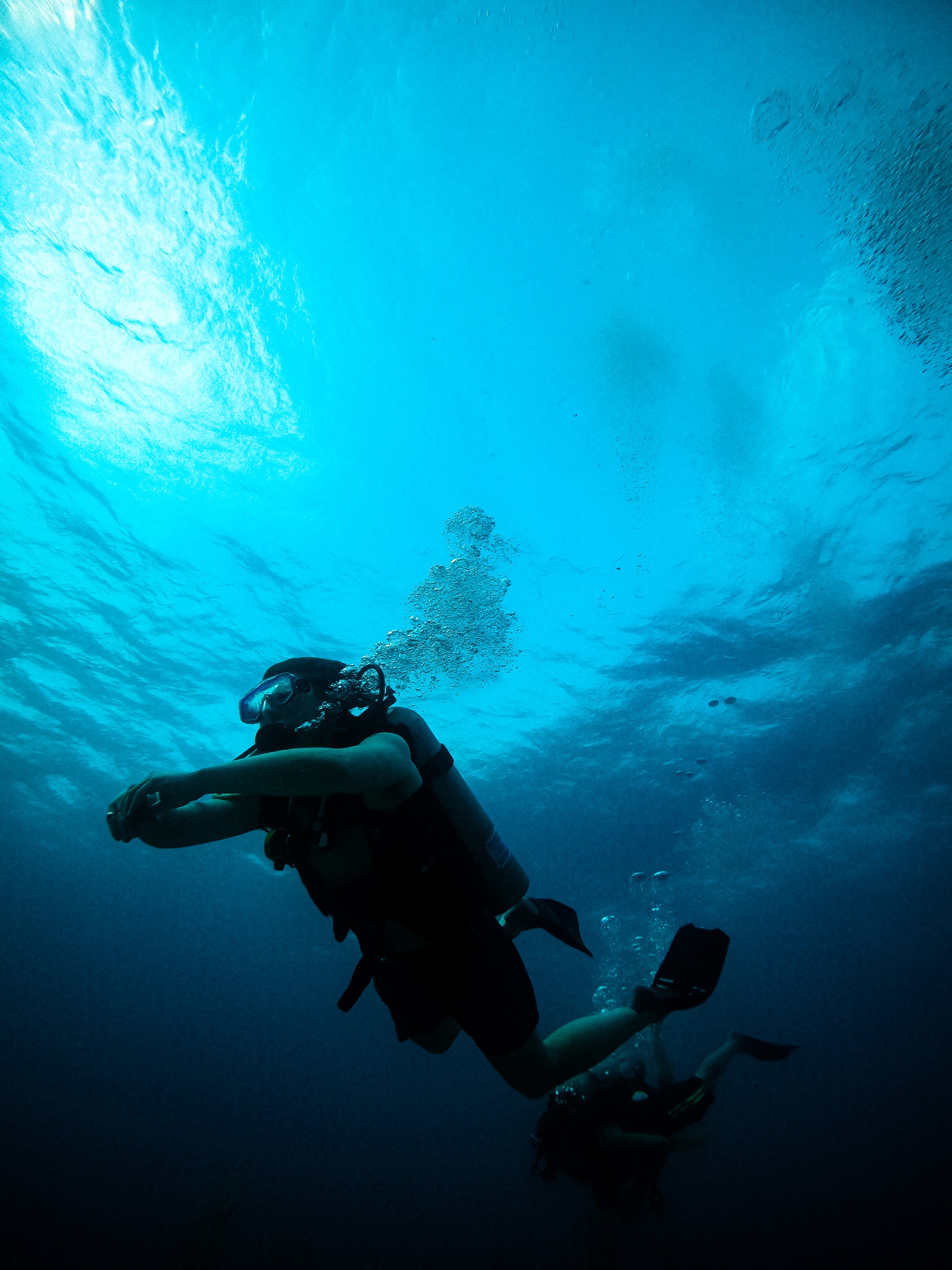 Scuba Diving at the Belize Barrier Reef