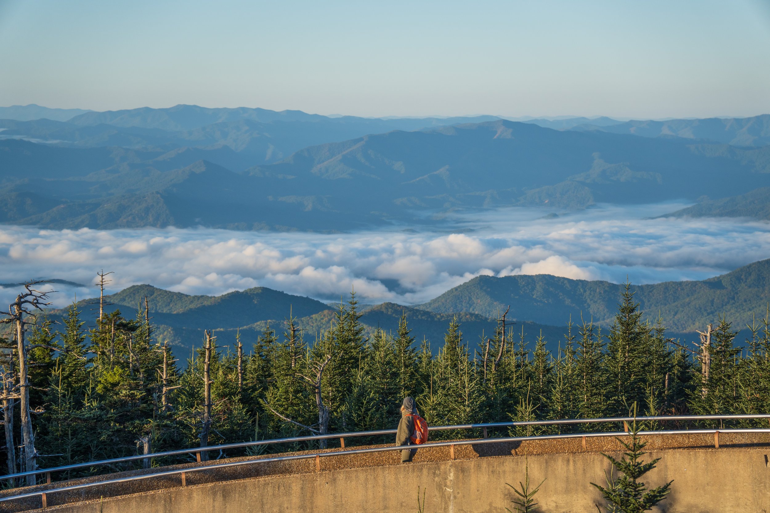 Clingman's Dome,
Great Smoky Mountains National Park