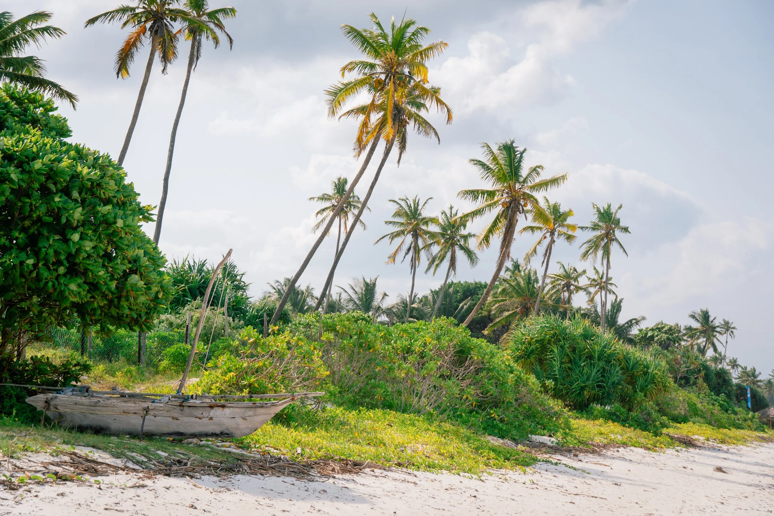 Great Migration-43.jpg