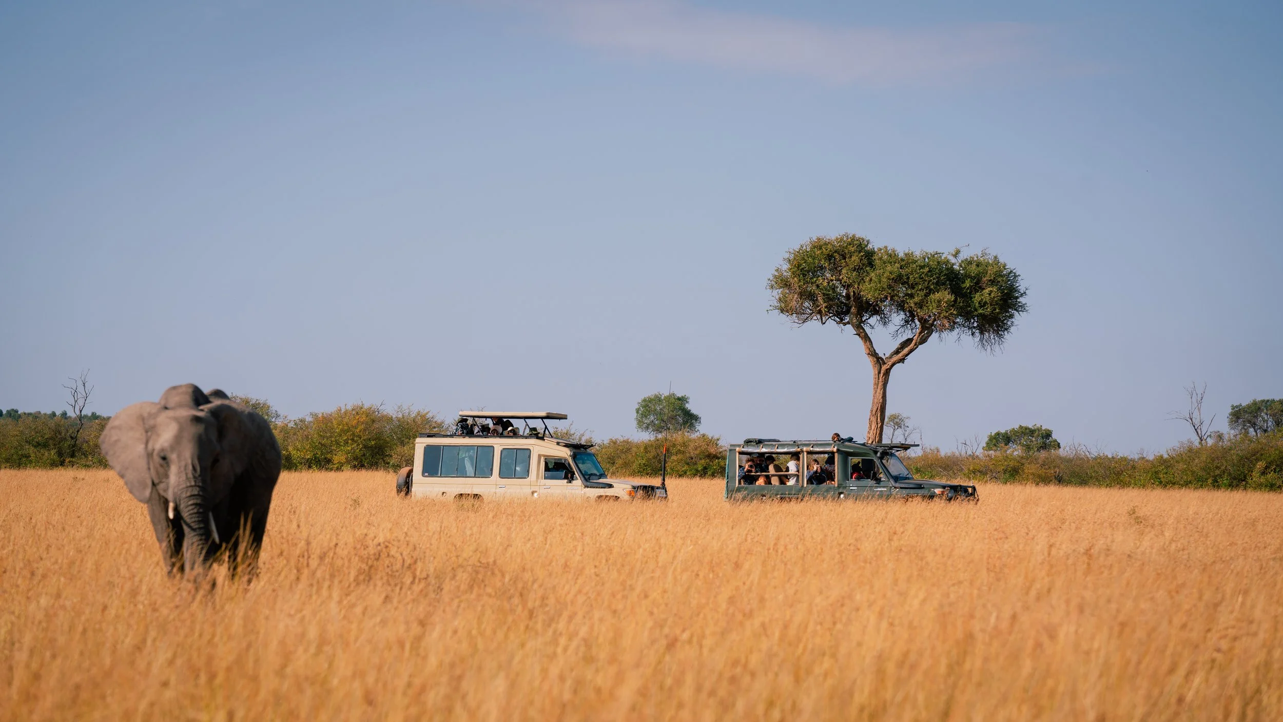 Great Migration-30.jpg