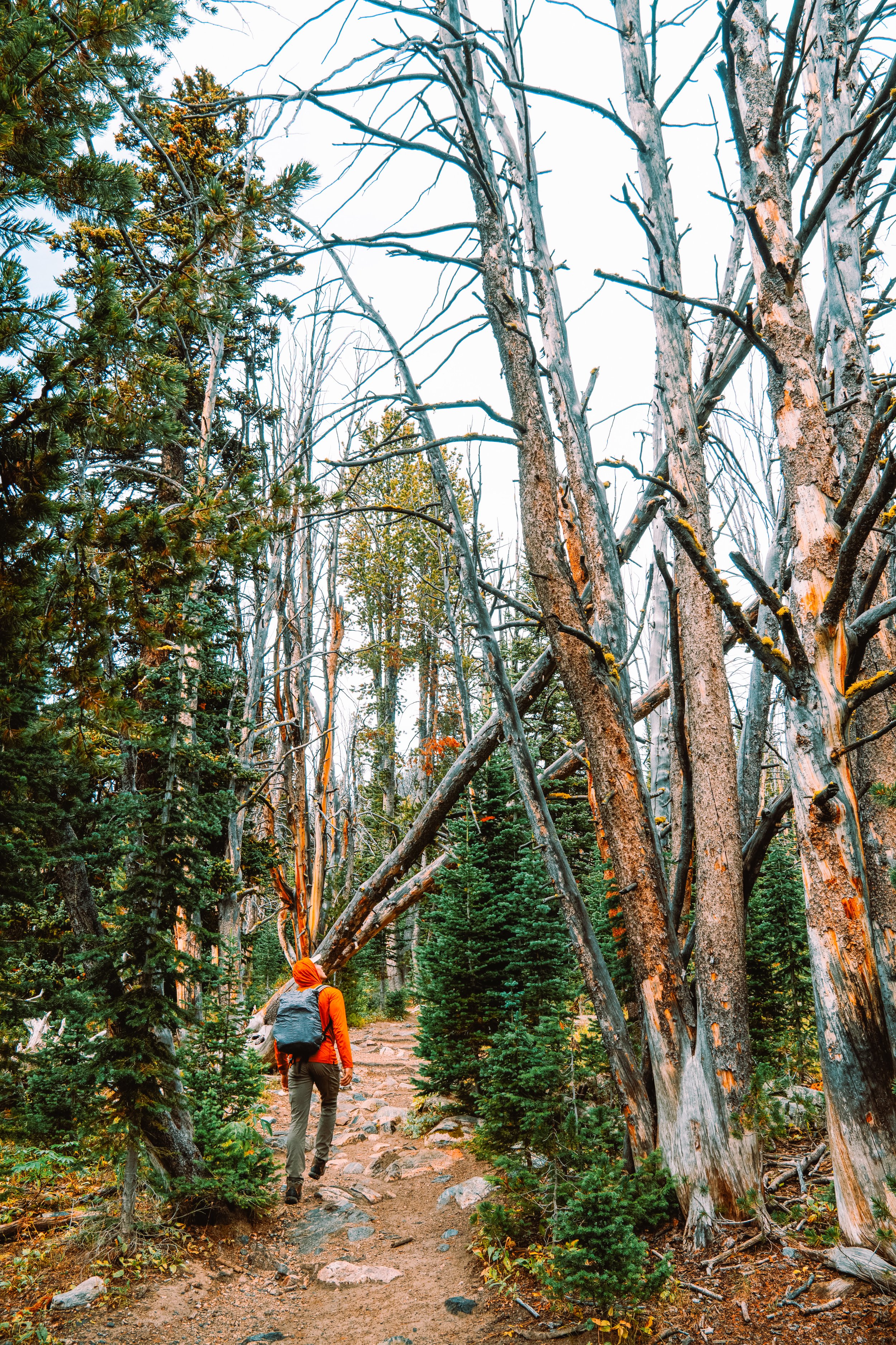 A scenic hike on Beehive Basin trail in Big Sky, Montana