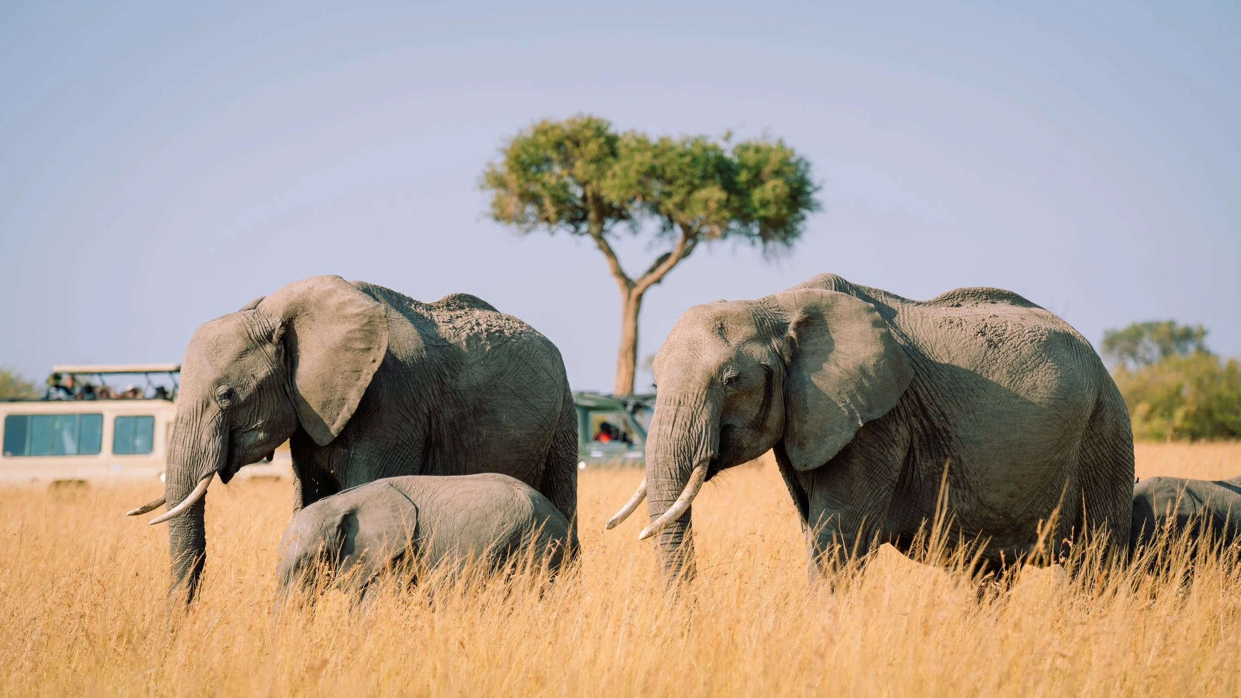 Great Migration-29.jpg