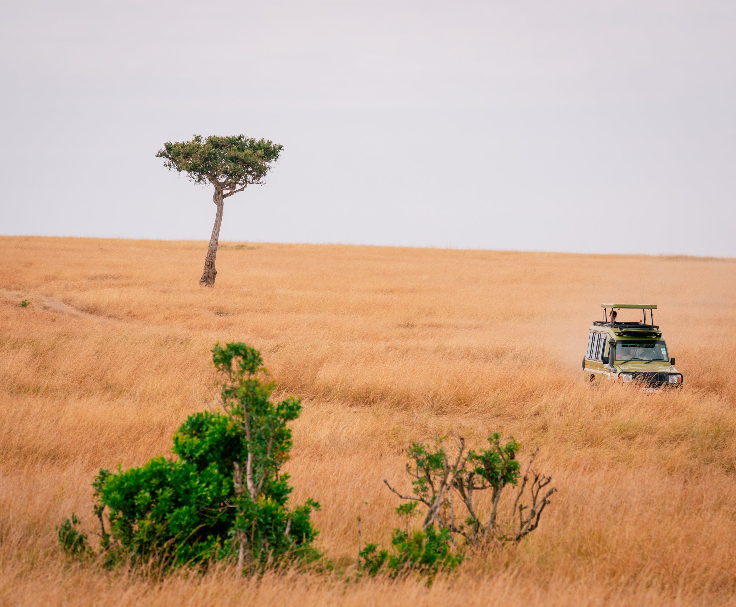 Great Migration-22.jpg