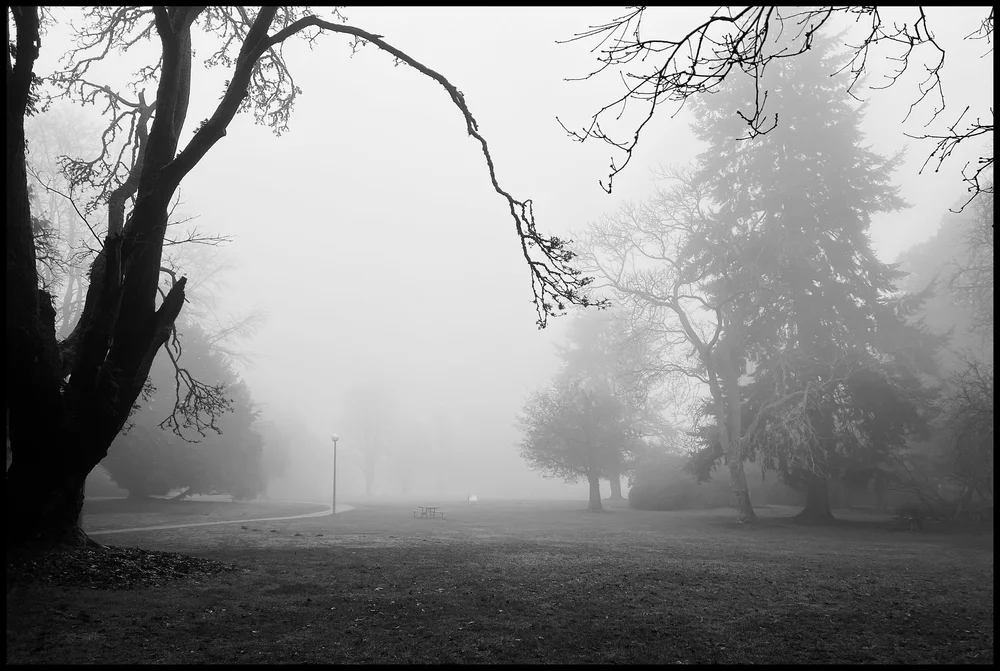 IMG_1163 Edited.jpeg