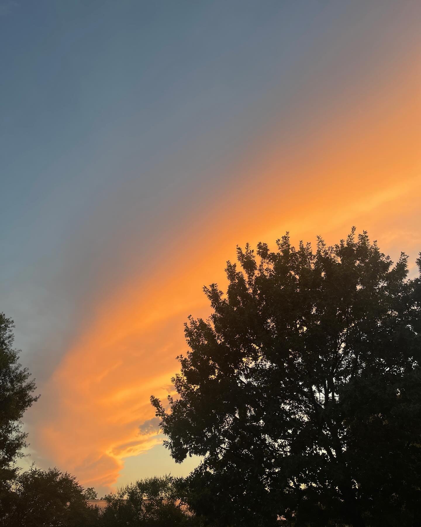 Georgia evening sun, settin&rsquo; the sky on fire
.
.
.
#georgia #athens #athensga #uga #southernsky #southernskies #sunset #southernsunset #nofilter
