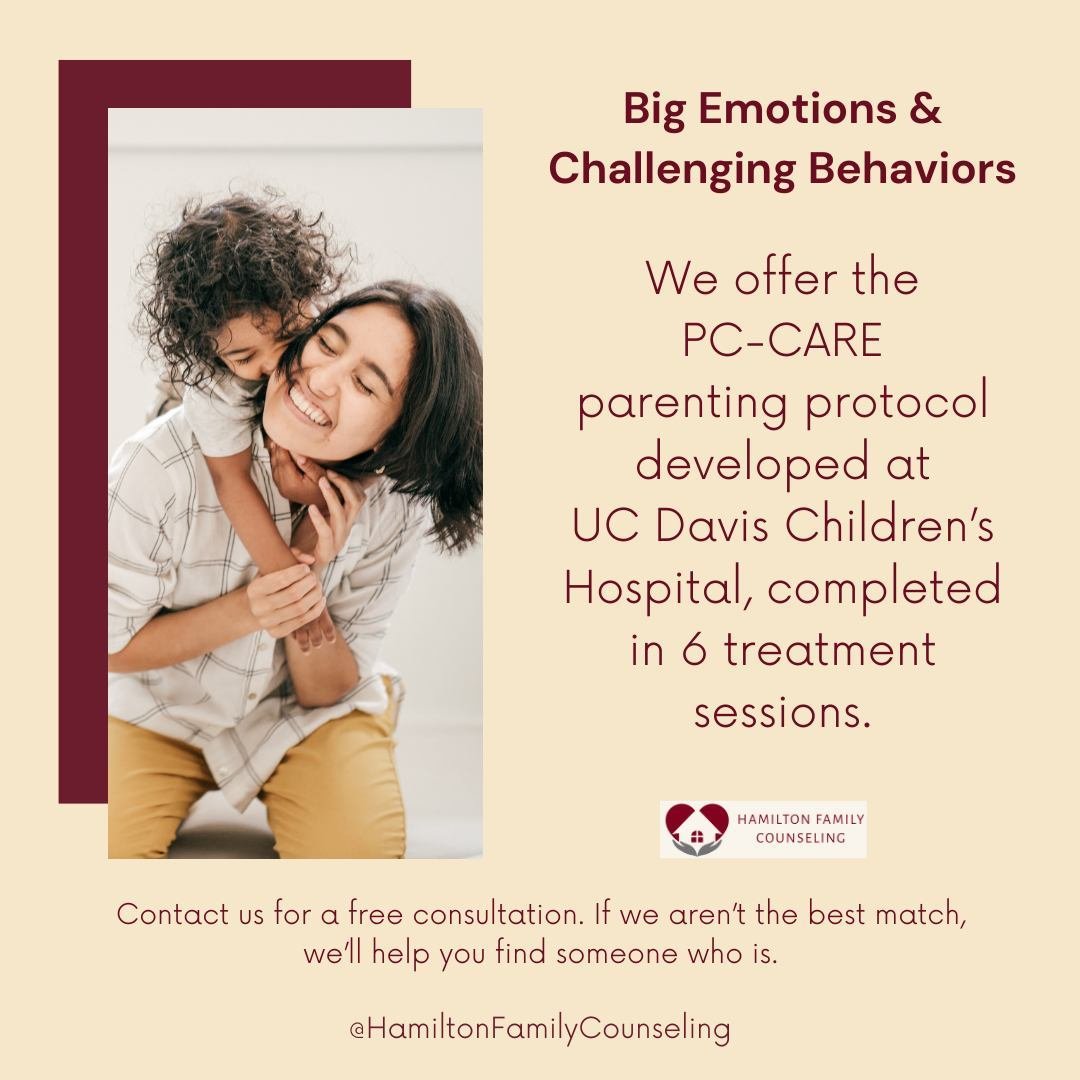 At Hamilton Family Counseling we specialize in children ages 1-12 with big emotions and challenging behaviors.

Schedule a free 15 minute consultation now to learn more!

Link in bio or go to www.HFCounsel.com/disruptive
We provide Parent-Child Inter