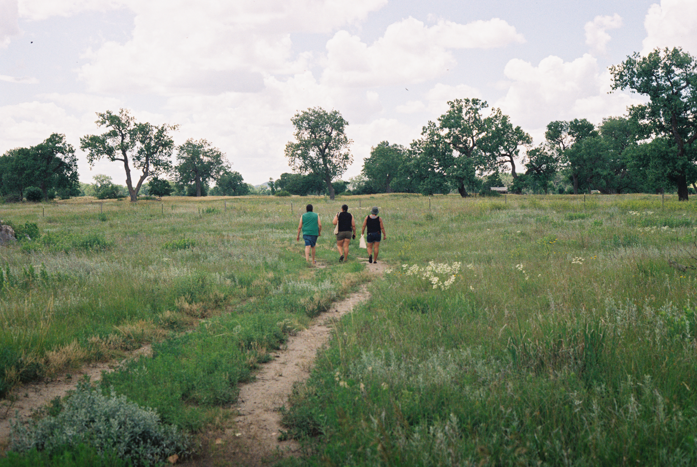 Landscape 2.png