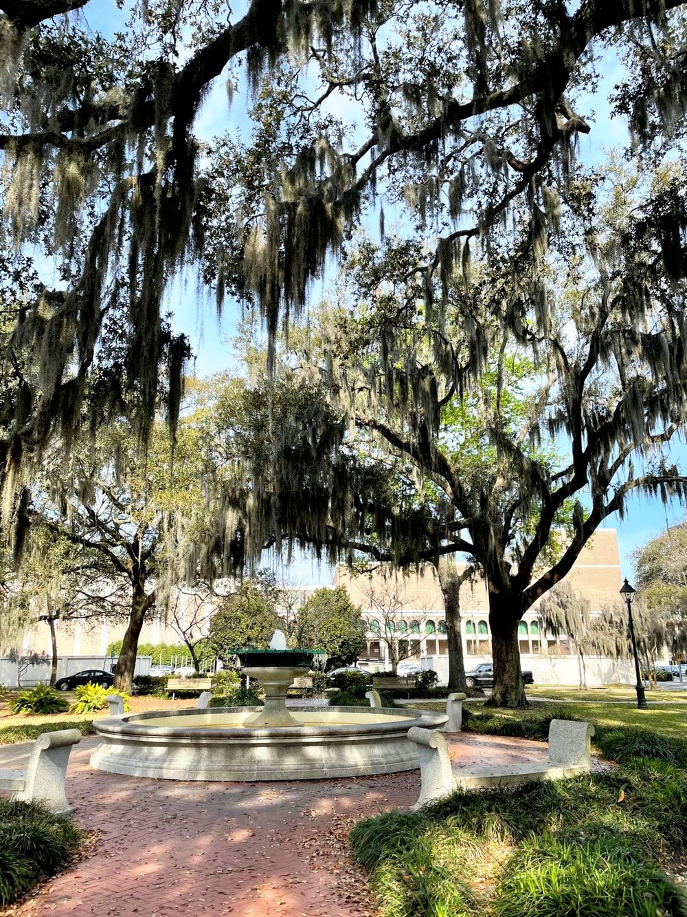 Savannah-Square.jpg