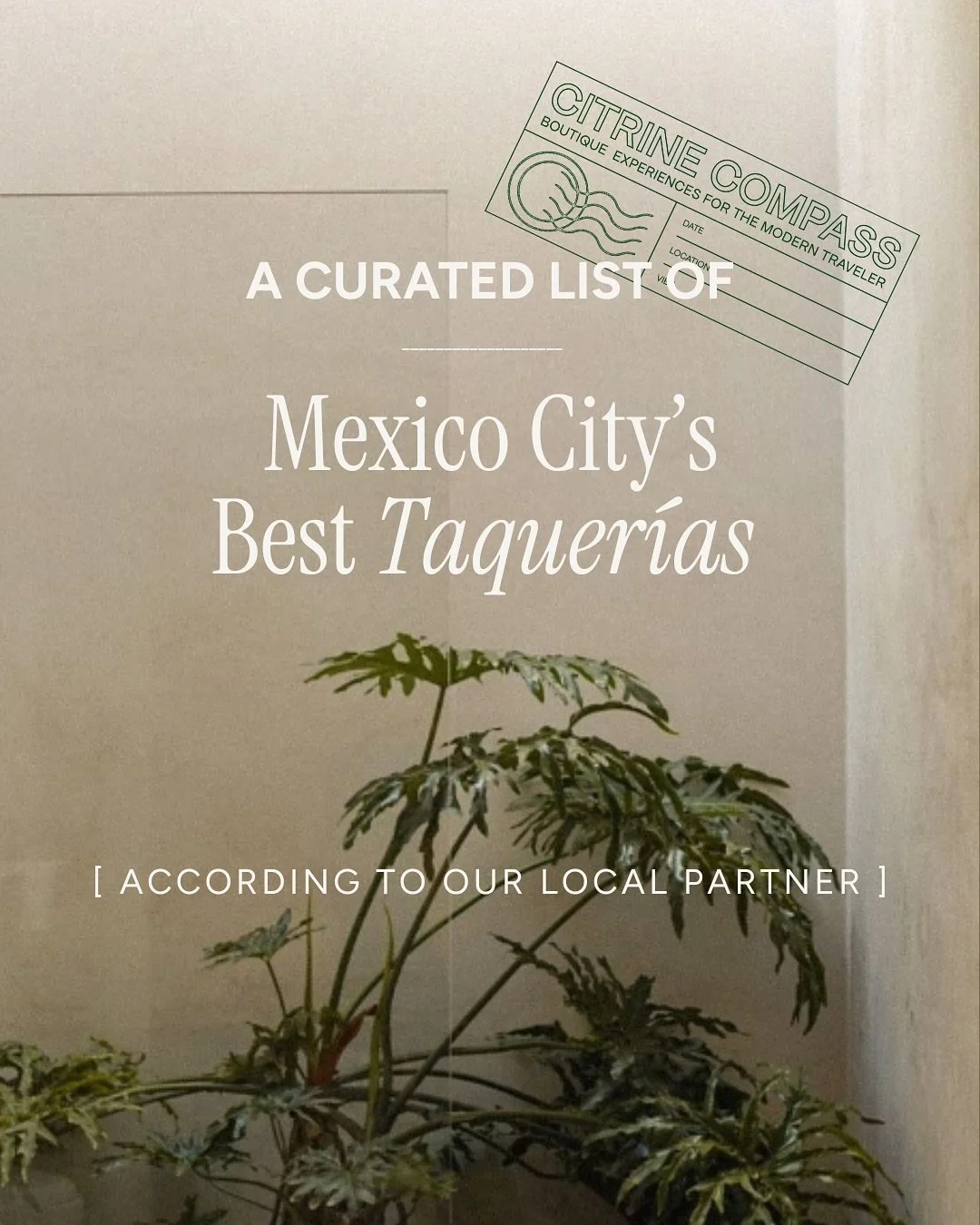 We love a luxe stay &ndash; but sometimes the best thing you&rsquo;ll eat on vacation comes from a paper plate.

Mexico City&rsquo;s taqueria scene is legendary for a reason. Every stand has its own story, its own loyal crowd and its own version of p