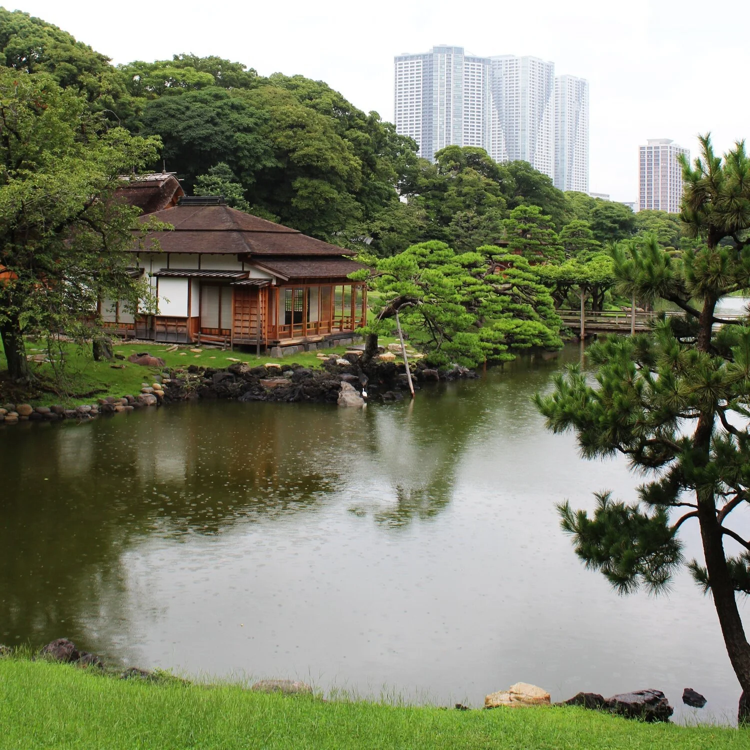Tokyo 3 Day Itinerary The Citrine Compass tokyo-3-day-itinerary-the-citrine-compass