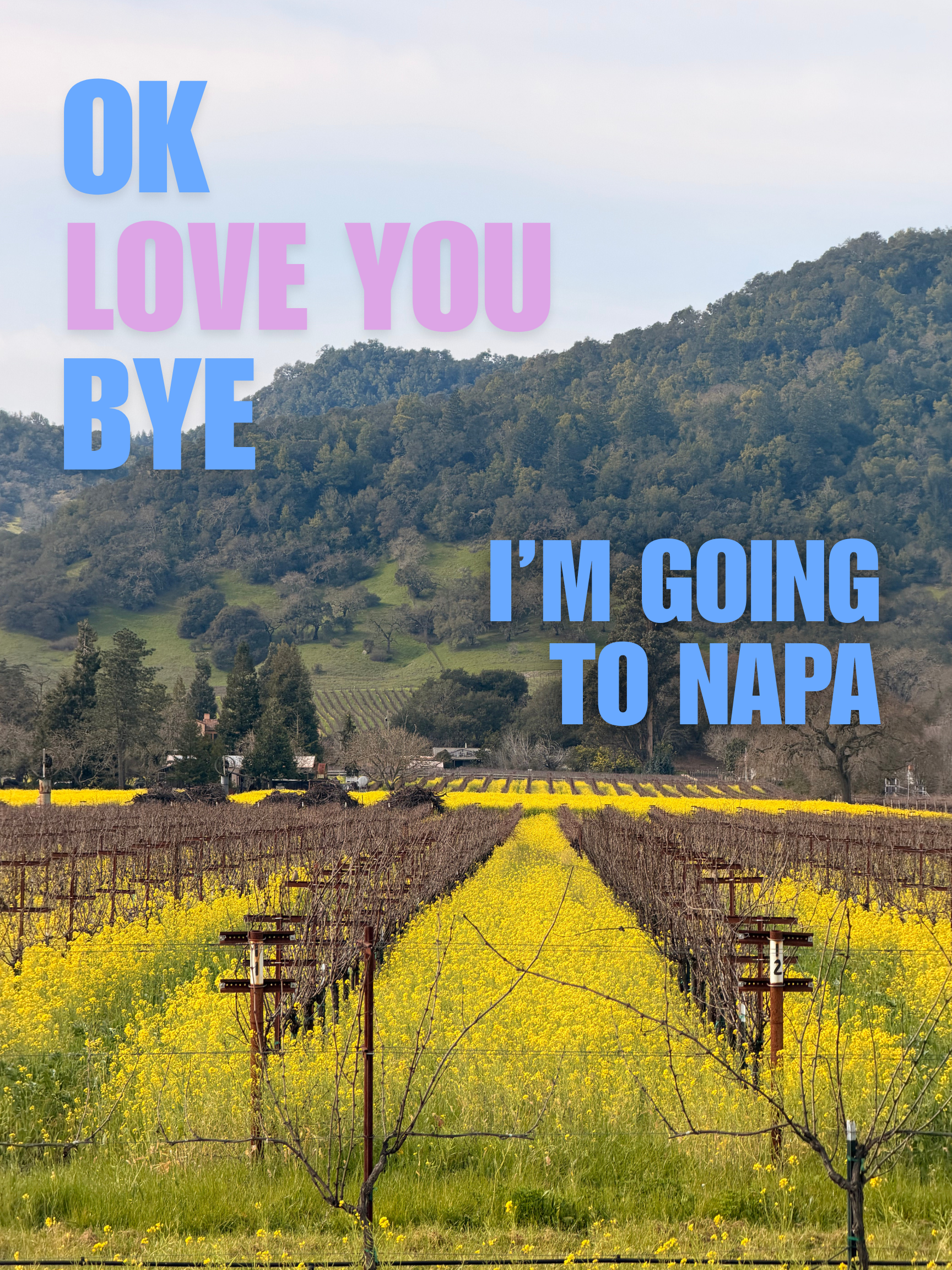 Out of Office: Napa — Blue & Pink Printable Wall Art