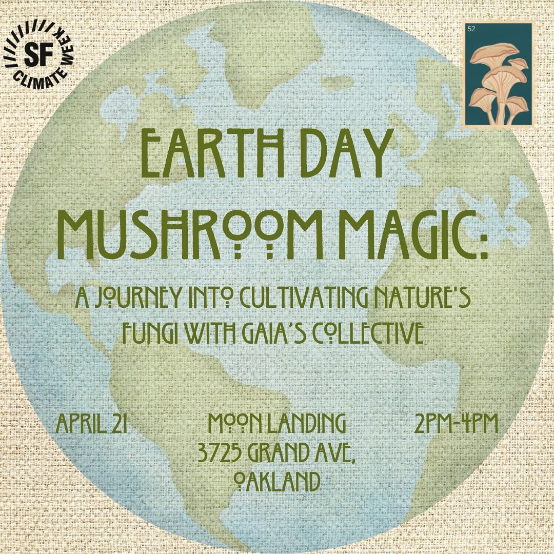 Have you been itching to pick fresh mushrooms from your own garden? Well we can help! 

We&rsquo;ve teamed up with SF Climate Week to bring you this fungtacular event at @moonlandingmeditativearts ✨

We&rsquo;ll dive into the world of mushrooms and h