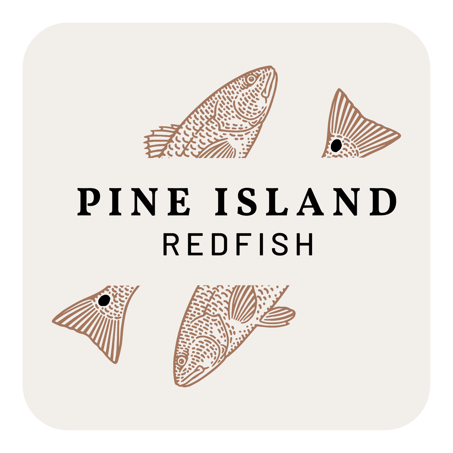 Pine Island Redfish