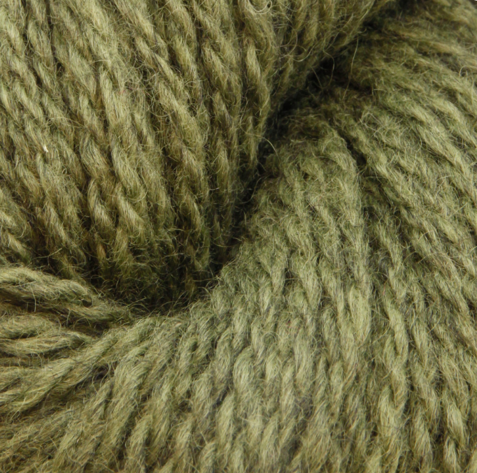 Blane Olive Green.png