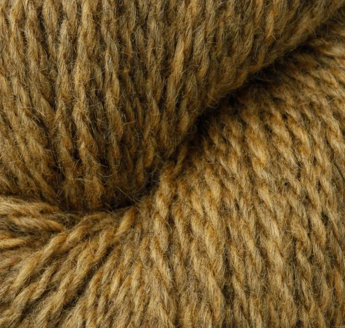 Blane 2108 Ochre.jpg