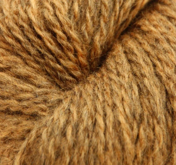 Blane 2122 Reddish Yellow.jpg