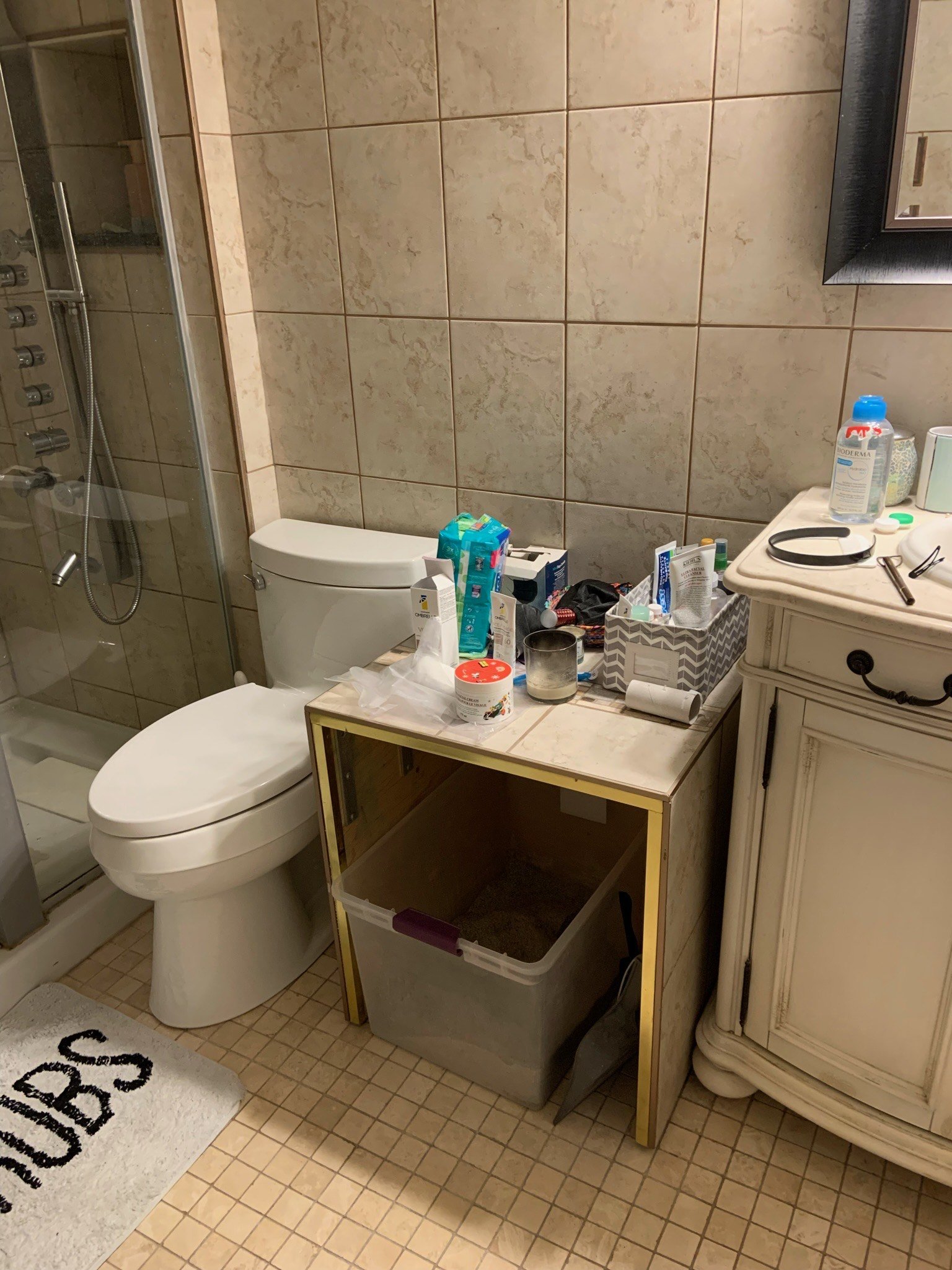 Before - Vanity with cat box.jpeg
