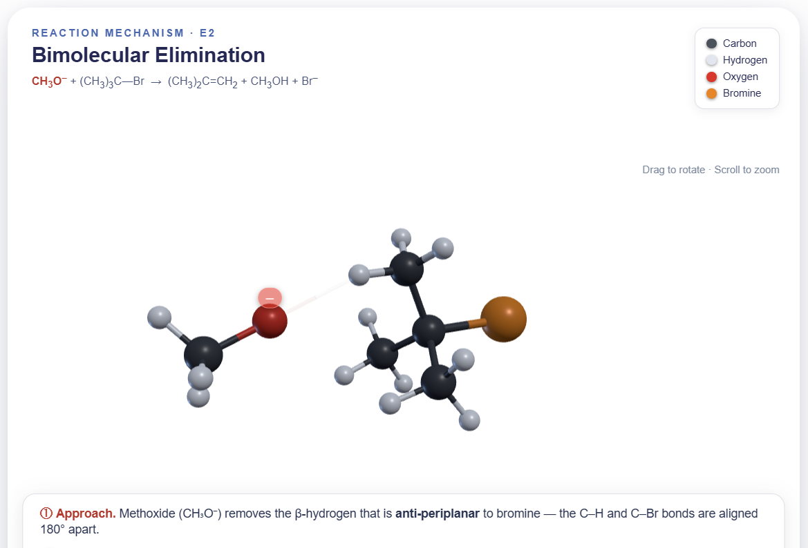 E2 Mechanism Animated