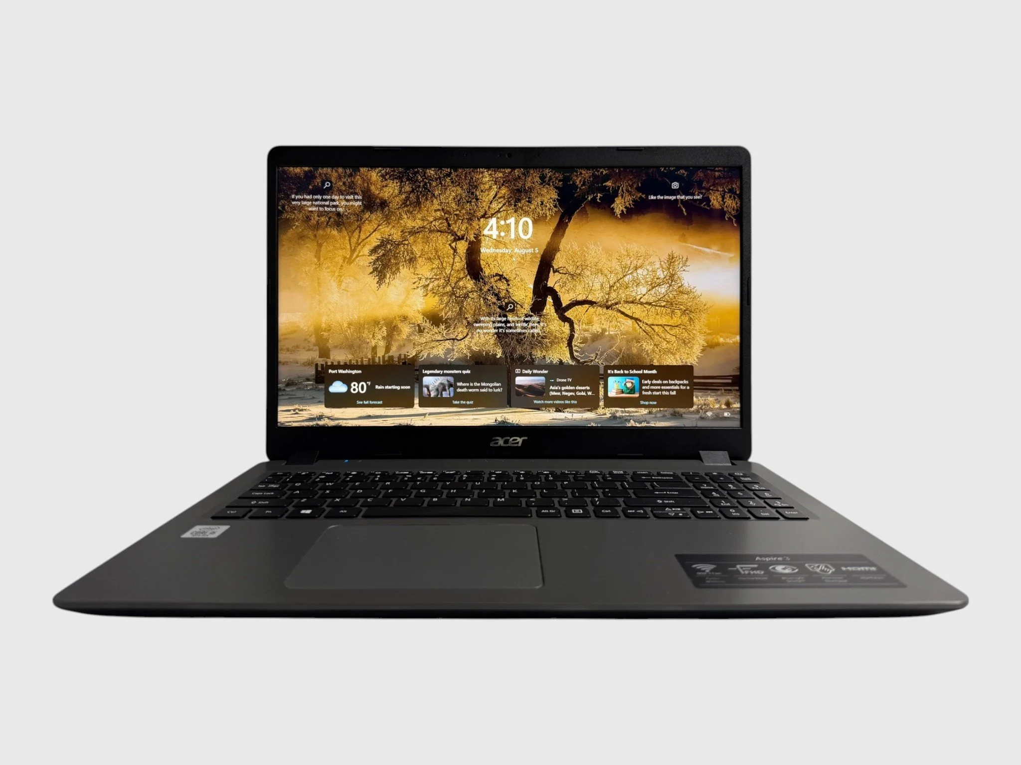 Acer Aspire A315-56 15" (NL-172)