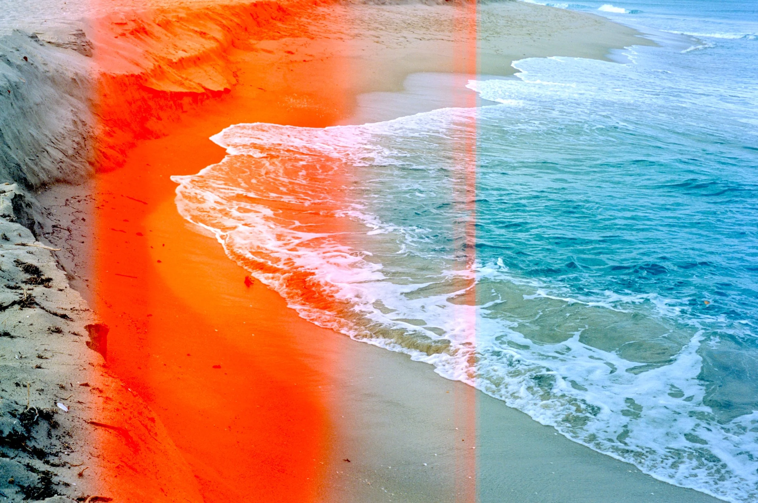 flashytropics_gabrielle_bates copy.jpg