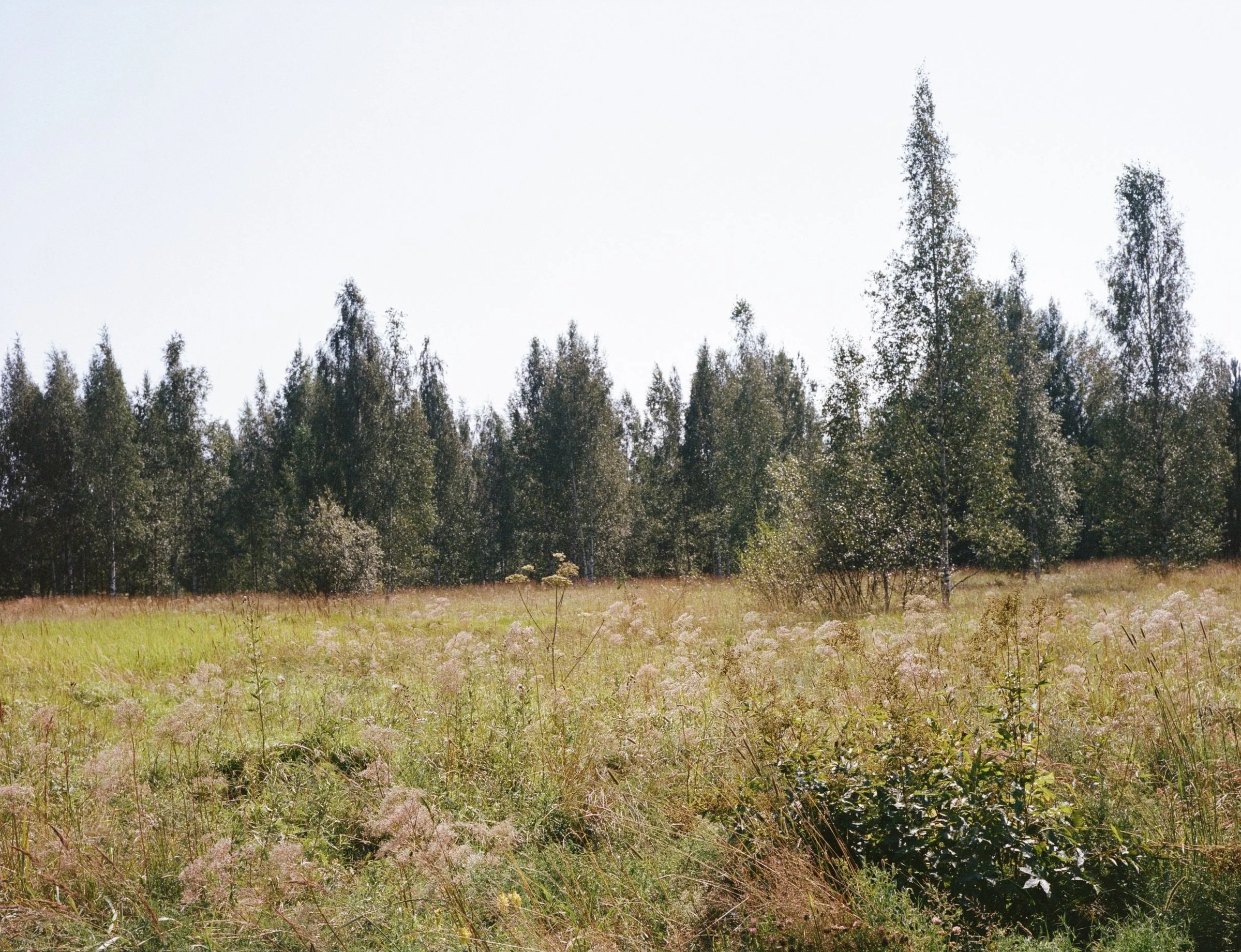 Vantaa, Finland 2025