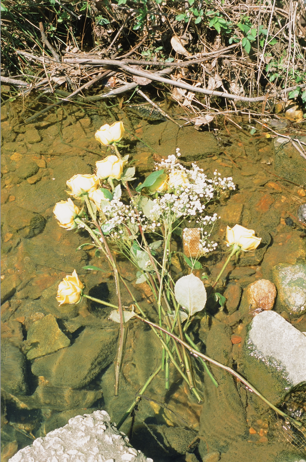 Screenshot 2023-08-02 at 8.28.51 PM.png