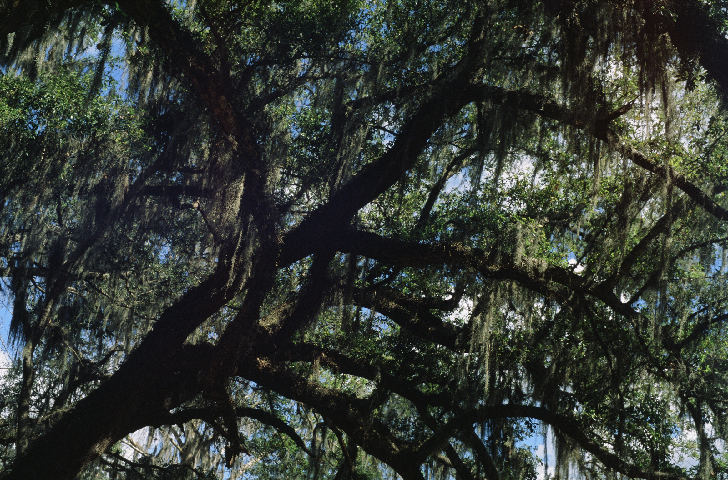 Screenshot 2023-08-02 at 9.05.52 PM.png