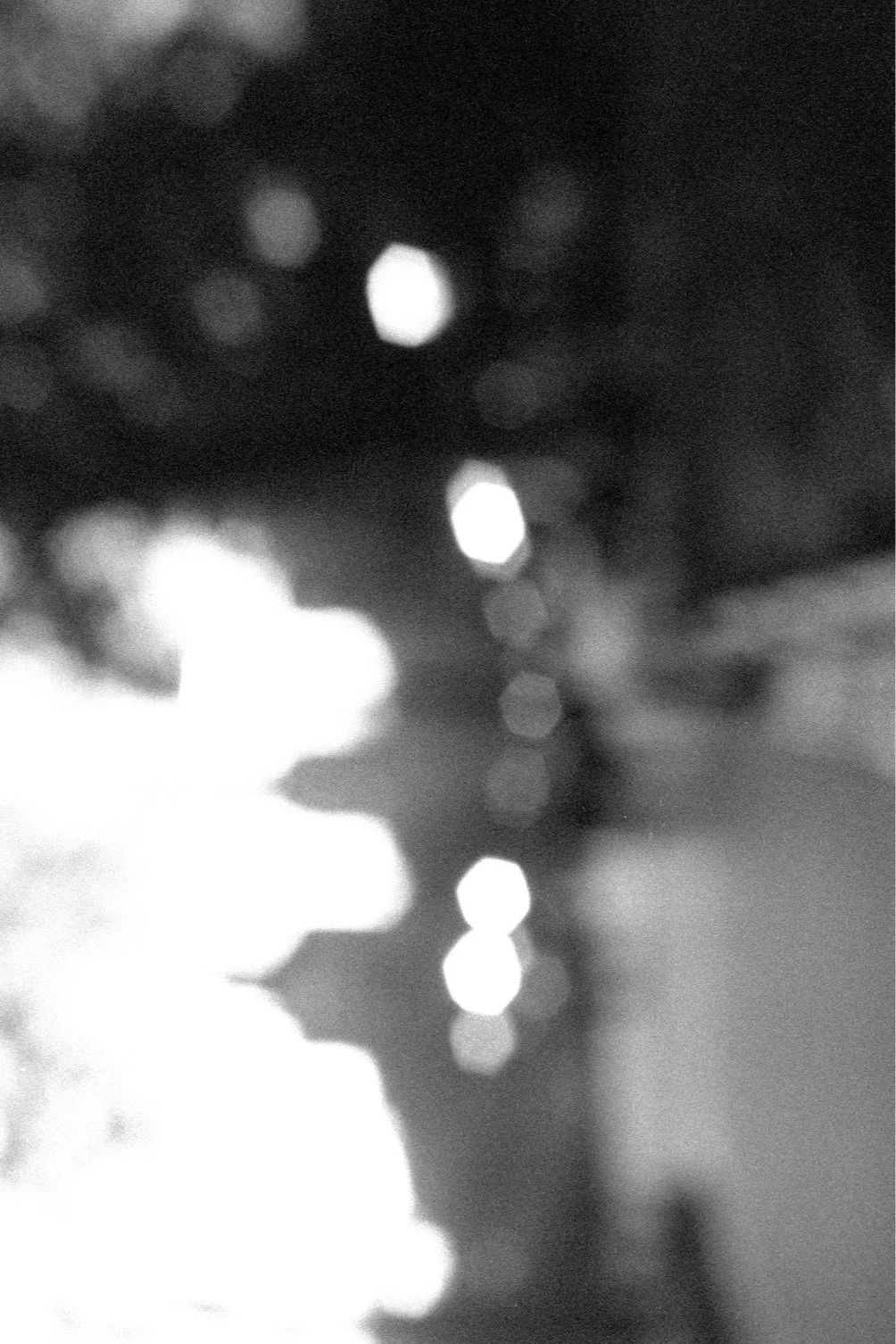 35mm black and white image blurred