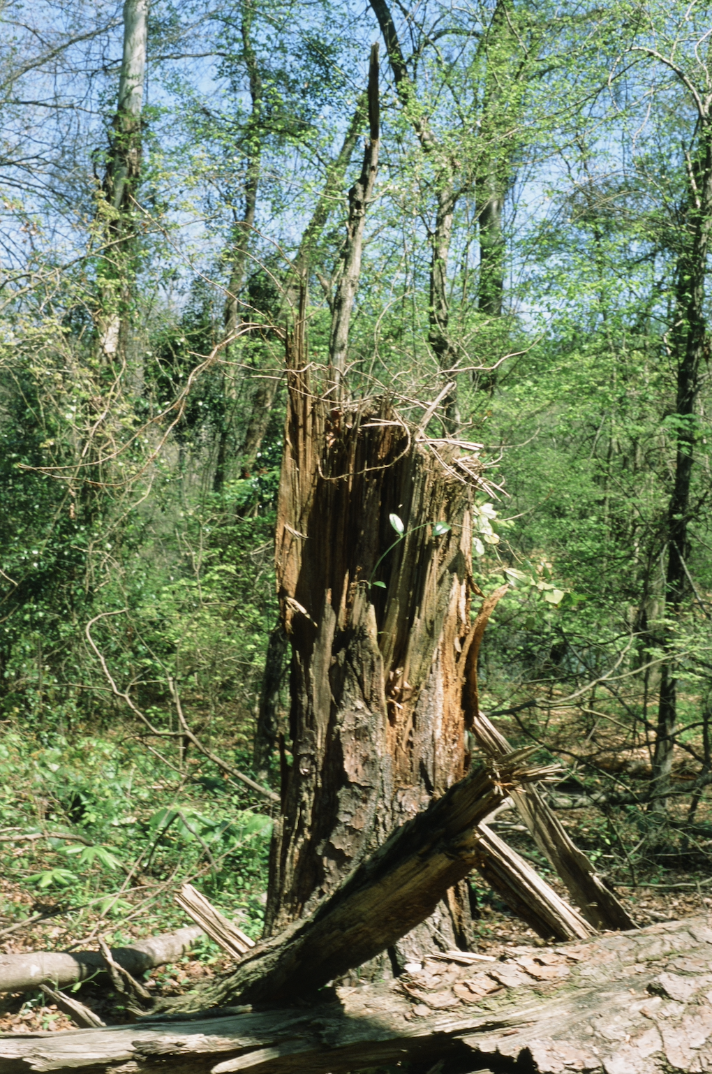 Screenshot 2023-08-04 at 1.46.18 AM.png