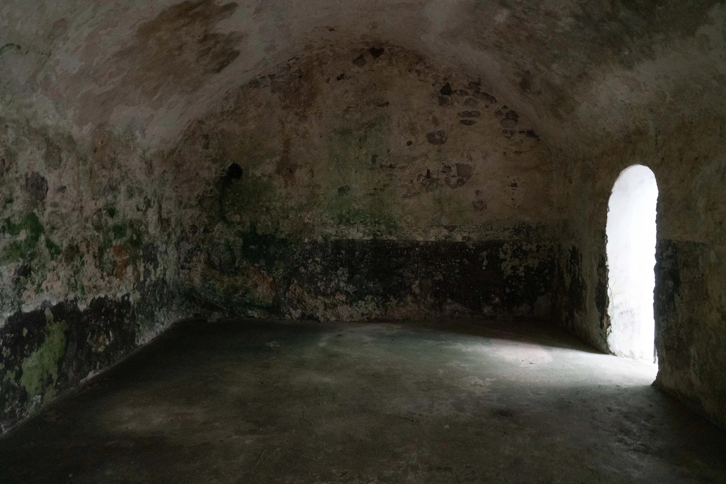 Bates_Gabrielle_ReturntoElmina-2982 copy.jpg