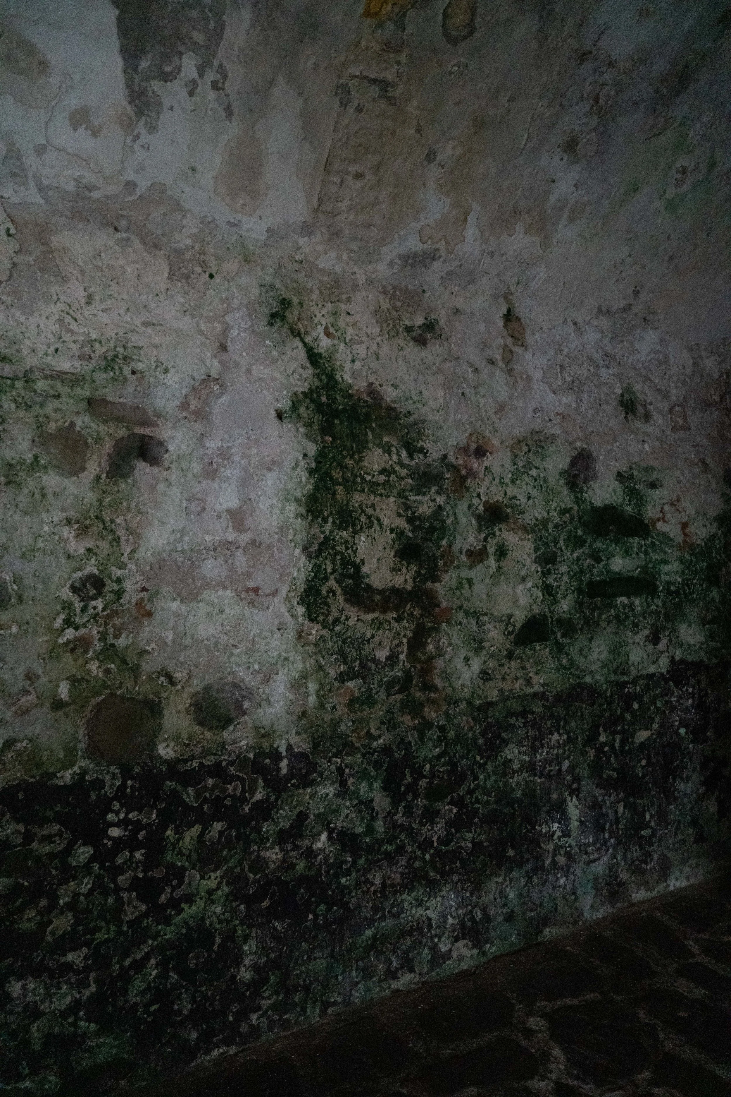 Bates_Gabrielle_ReturntoElmina-2988 copy.jpg