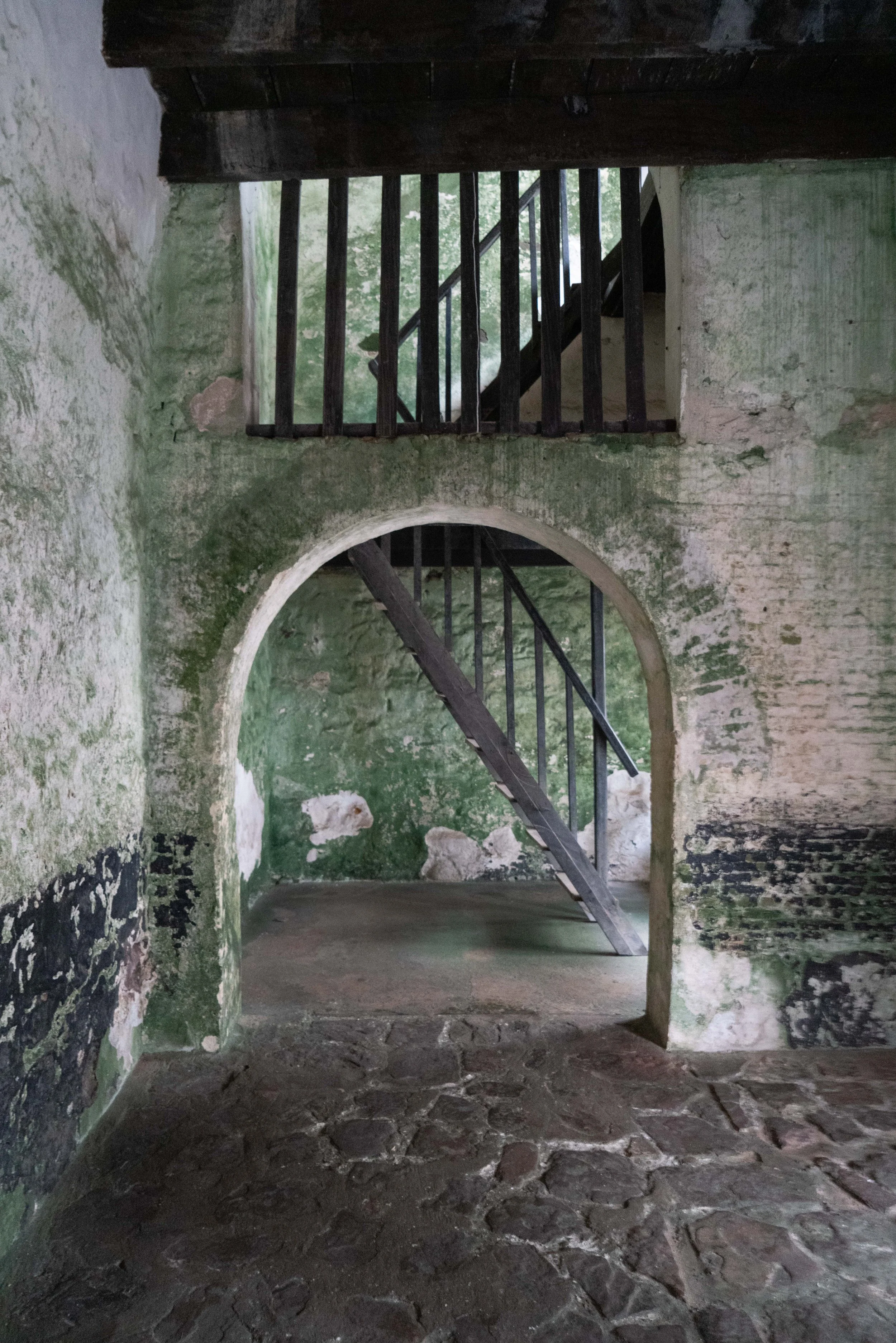 Bates_Gabrielle_ReturntoElmina-2998 copy.jpg