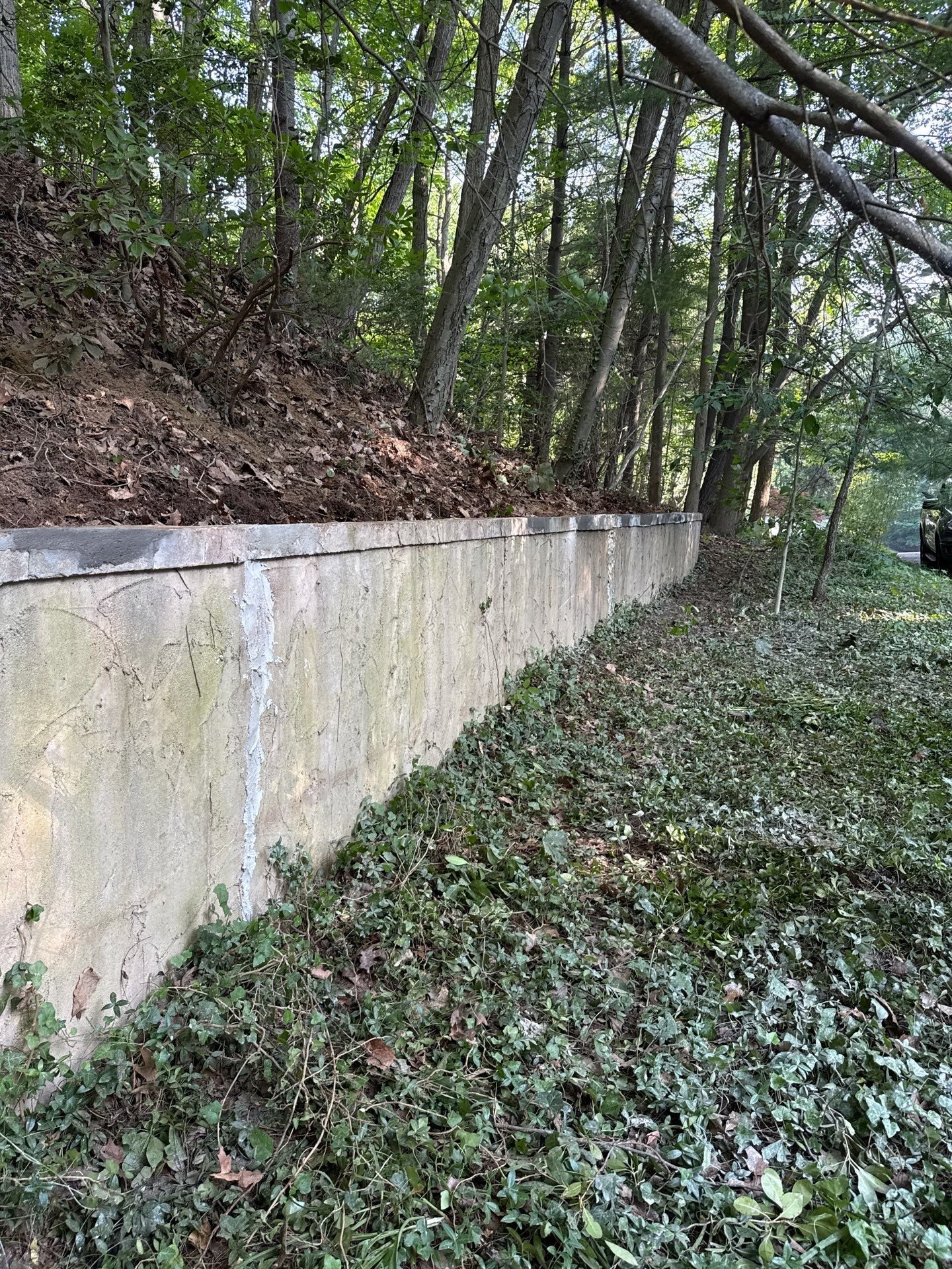 Restoring a Failing Retaining Wall with Precision and Care