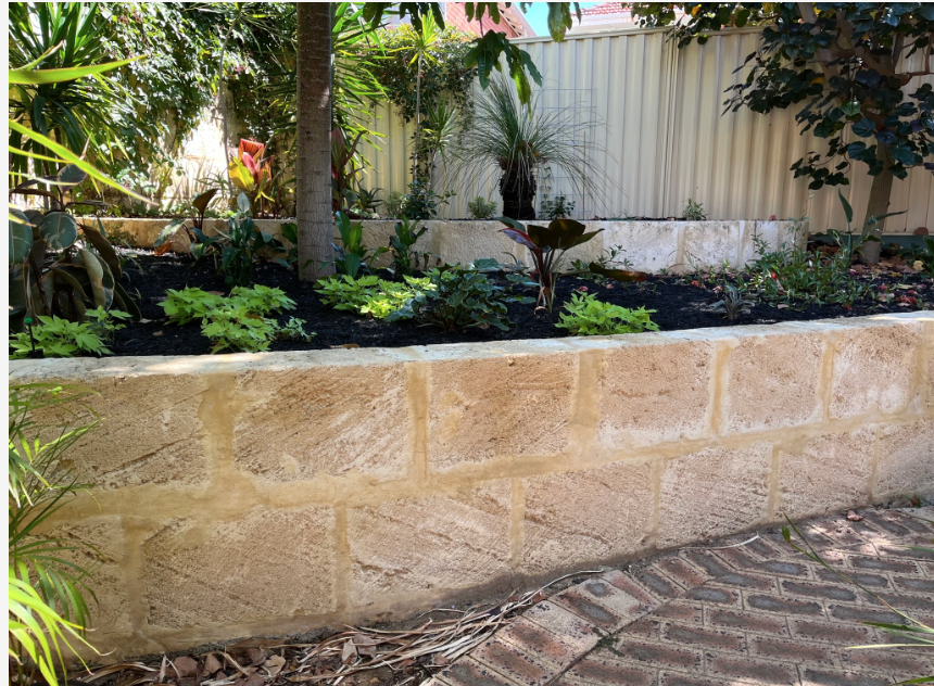 A garden with plants and trees in a raised stone bed, surrounded by a brick pathway, with a metal fence in the background.