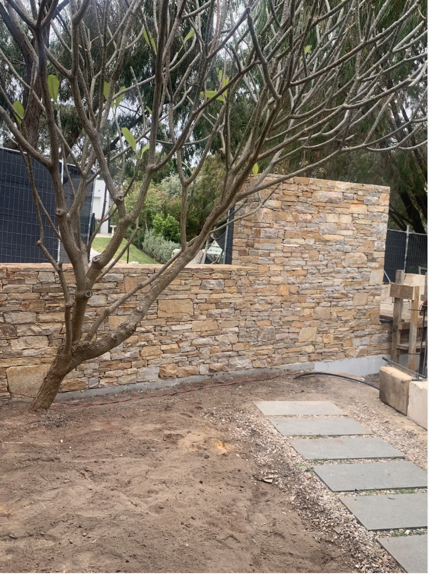 Stone wall with tree and paved walkway in a garden