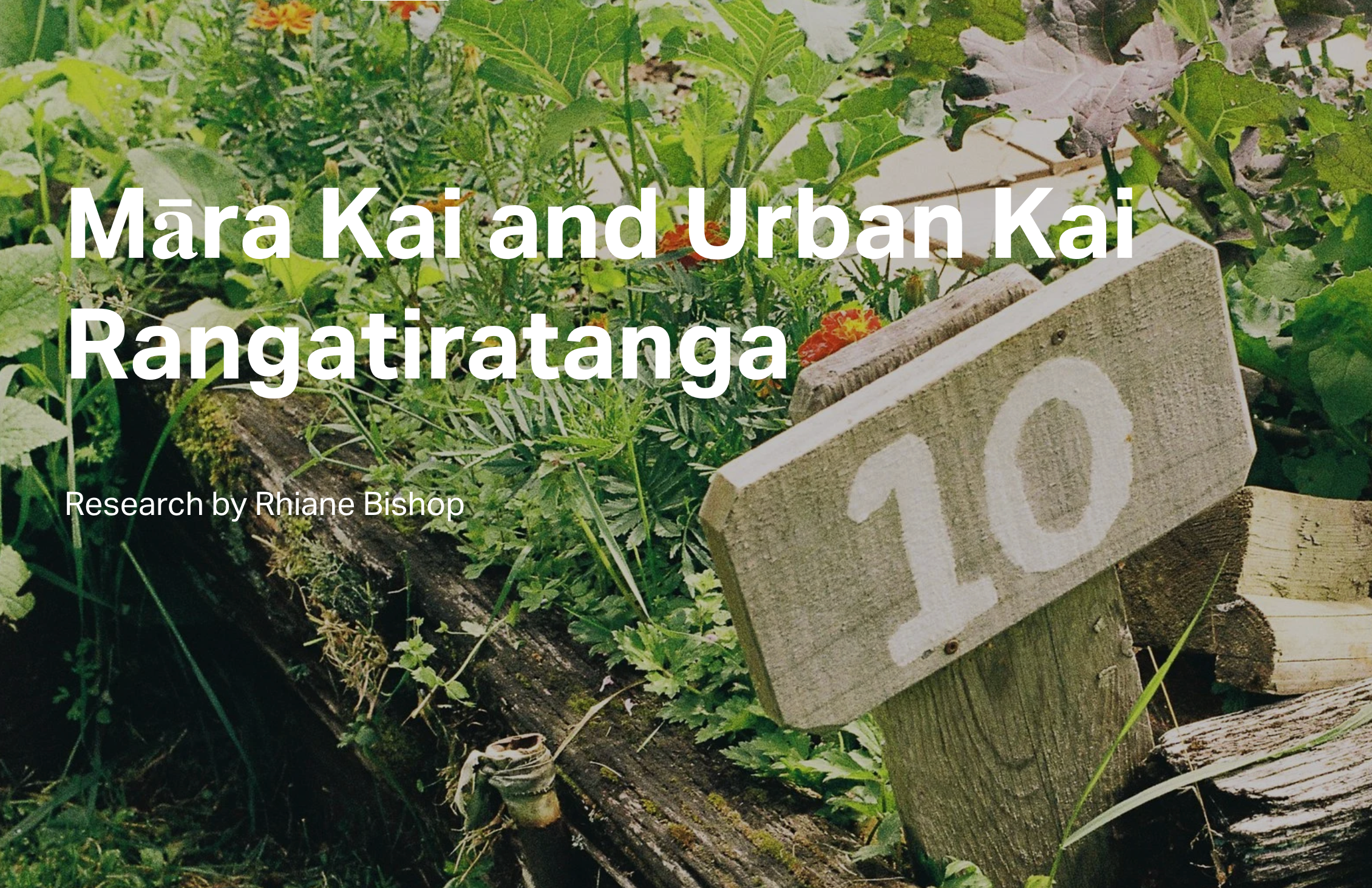 Māra Kai and Urban Kai Rangatiratanga 