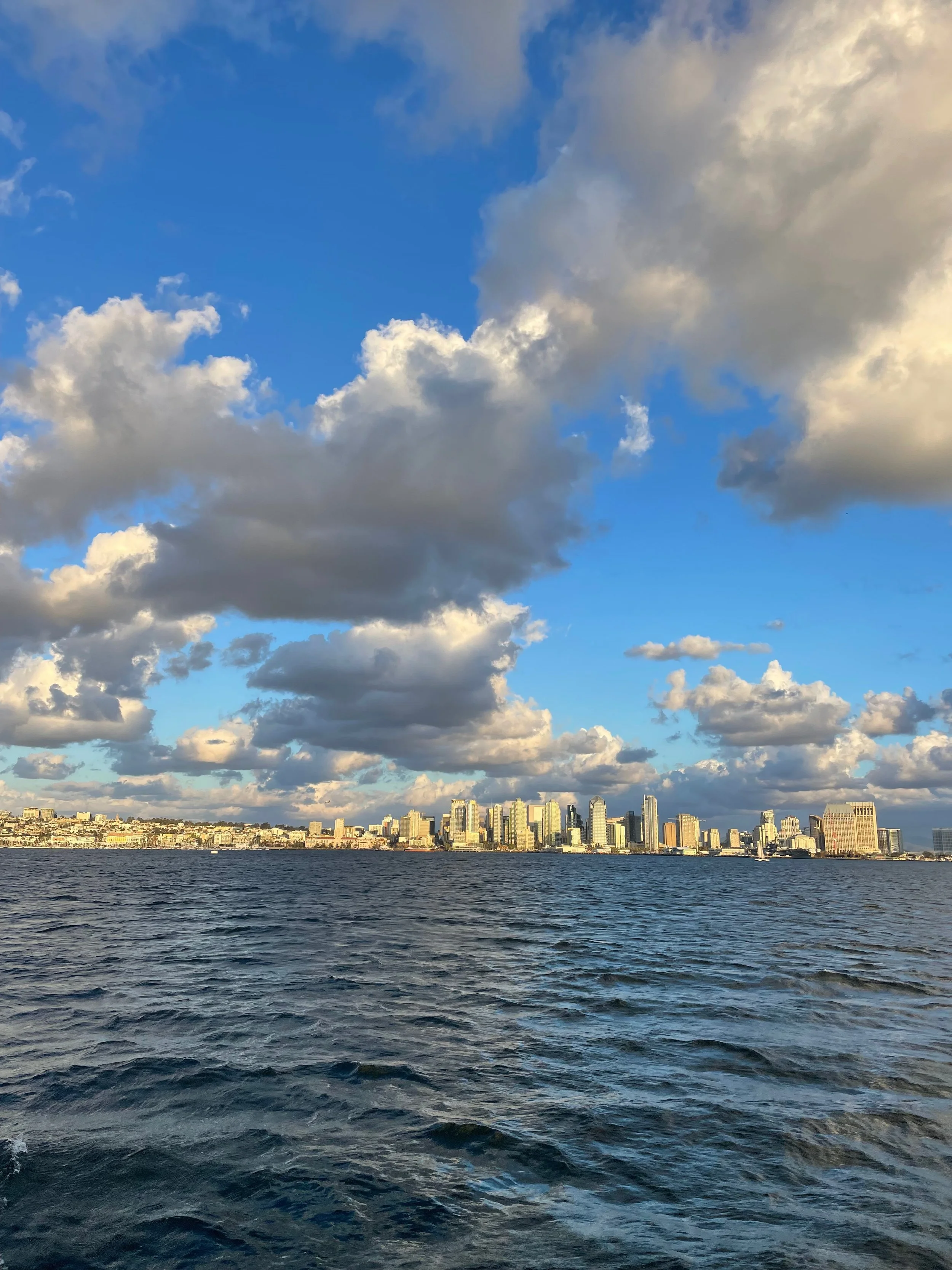 Website - Captain Ryan - 56 of 100.jpeg