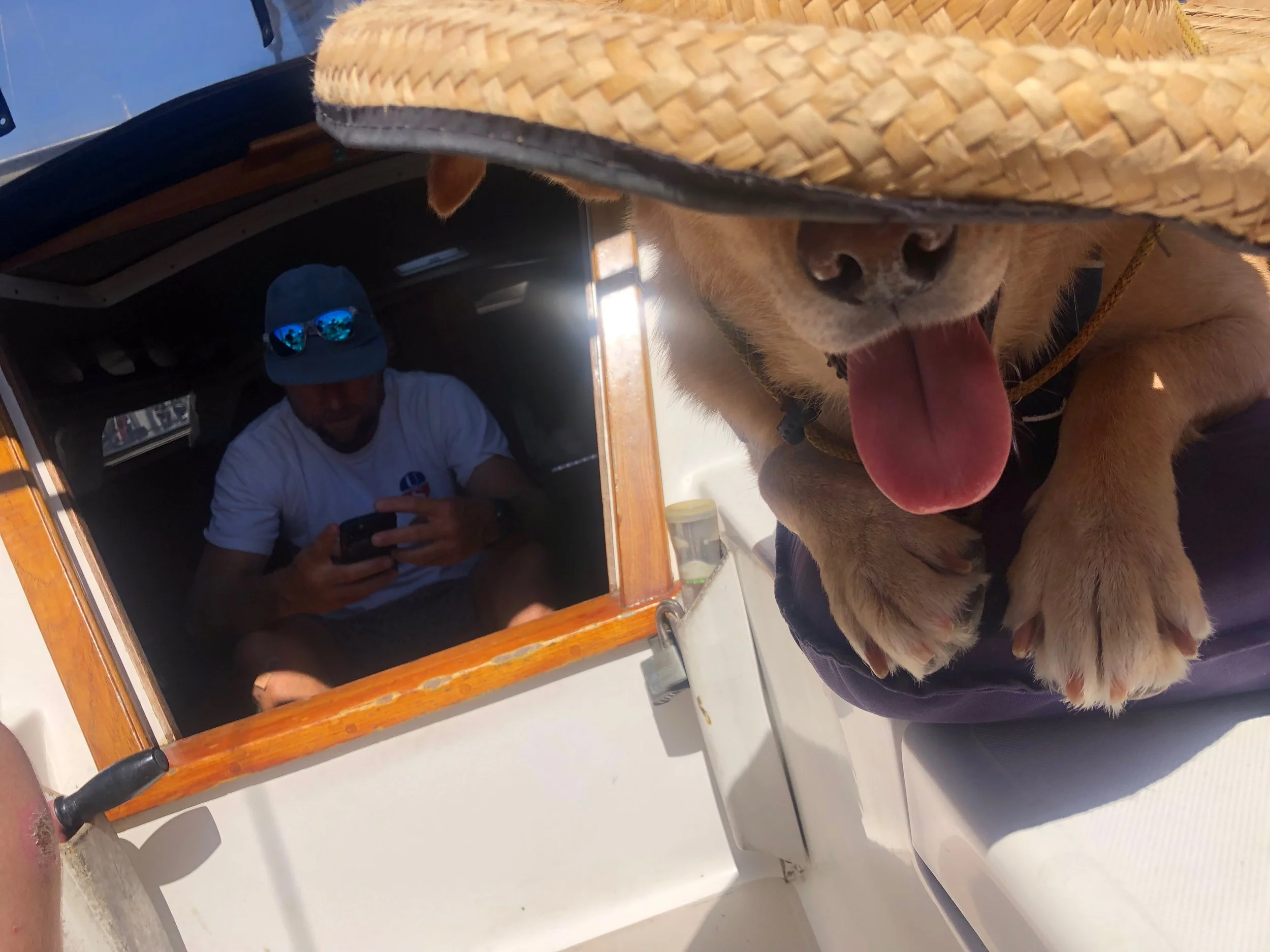 Website - Captain Ryan - 18 of 100.jpeg