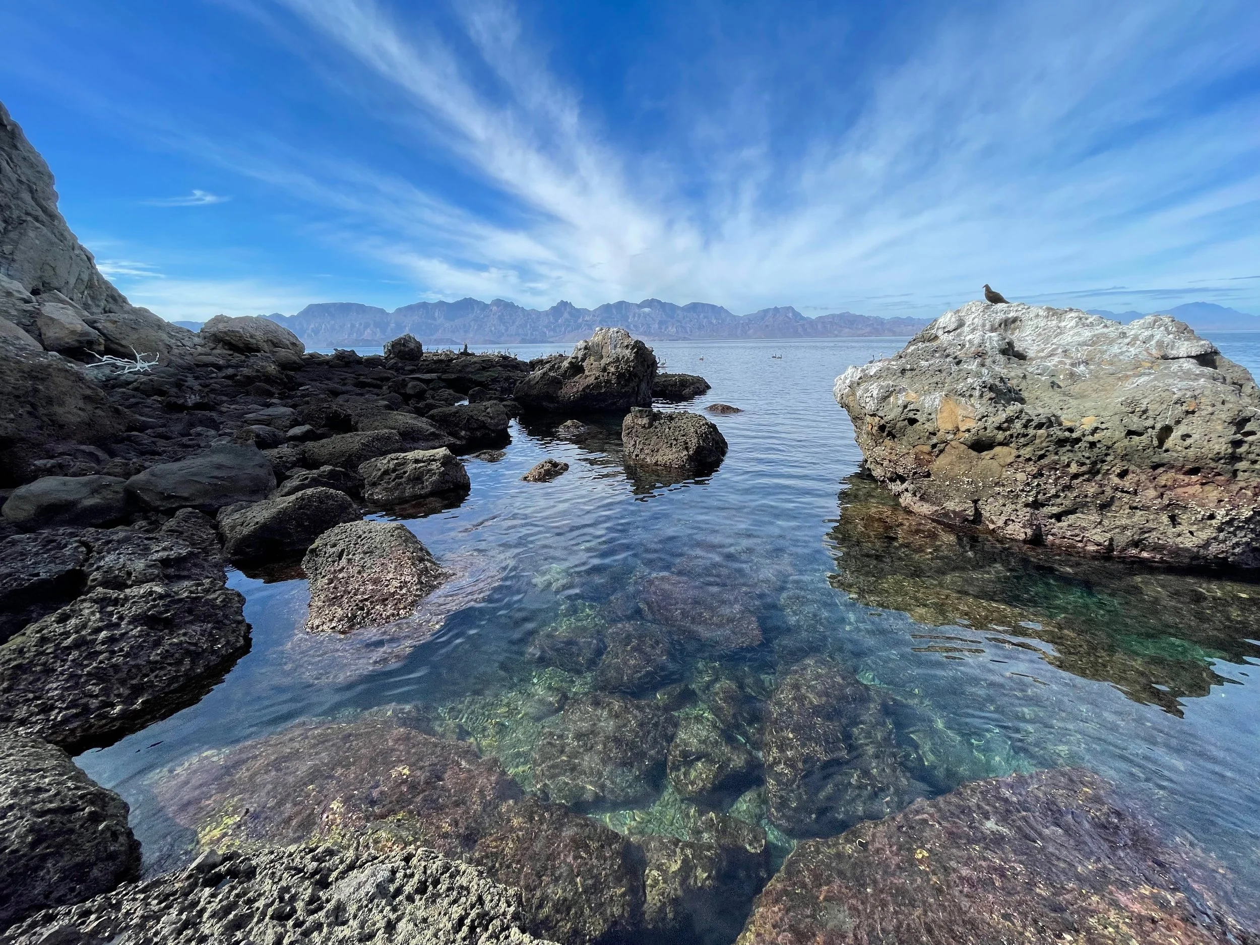 Website - Captain Ryan - 59 of 100.jpeg