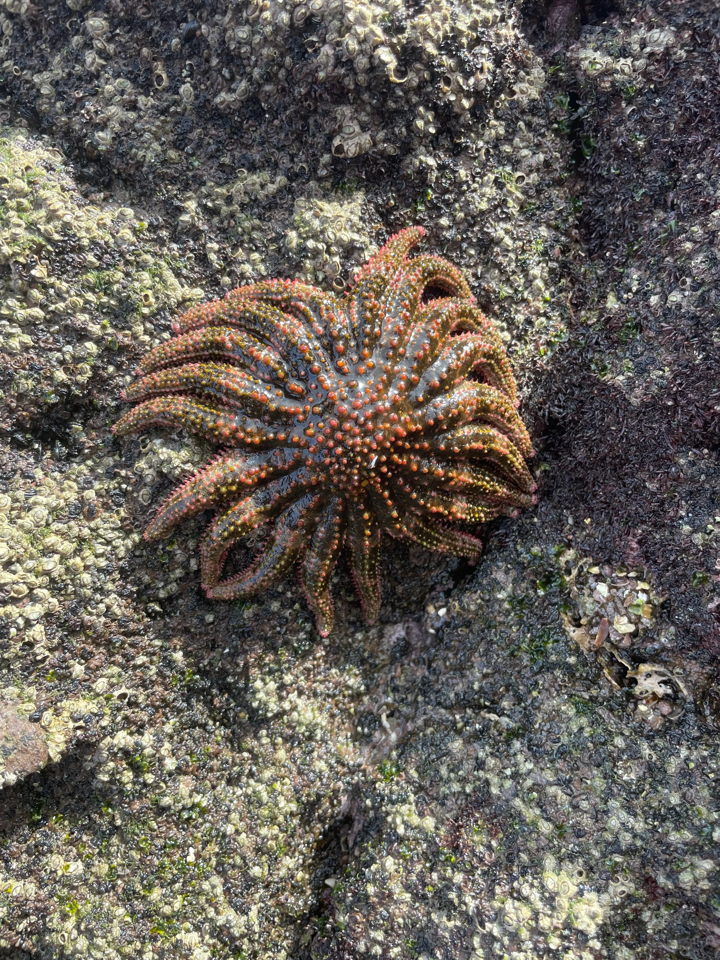 Website - Captain Ryan - 60 of 100.jpeg