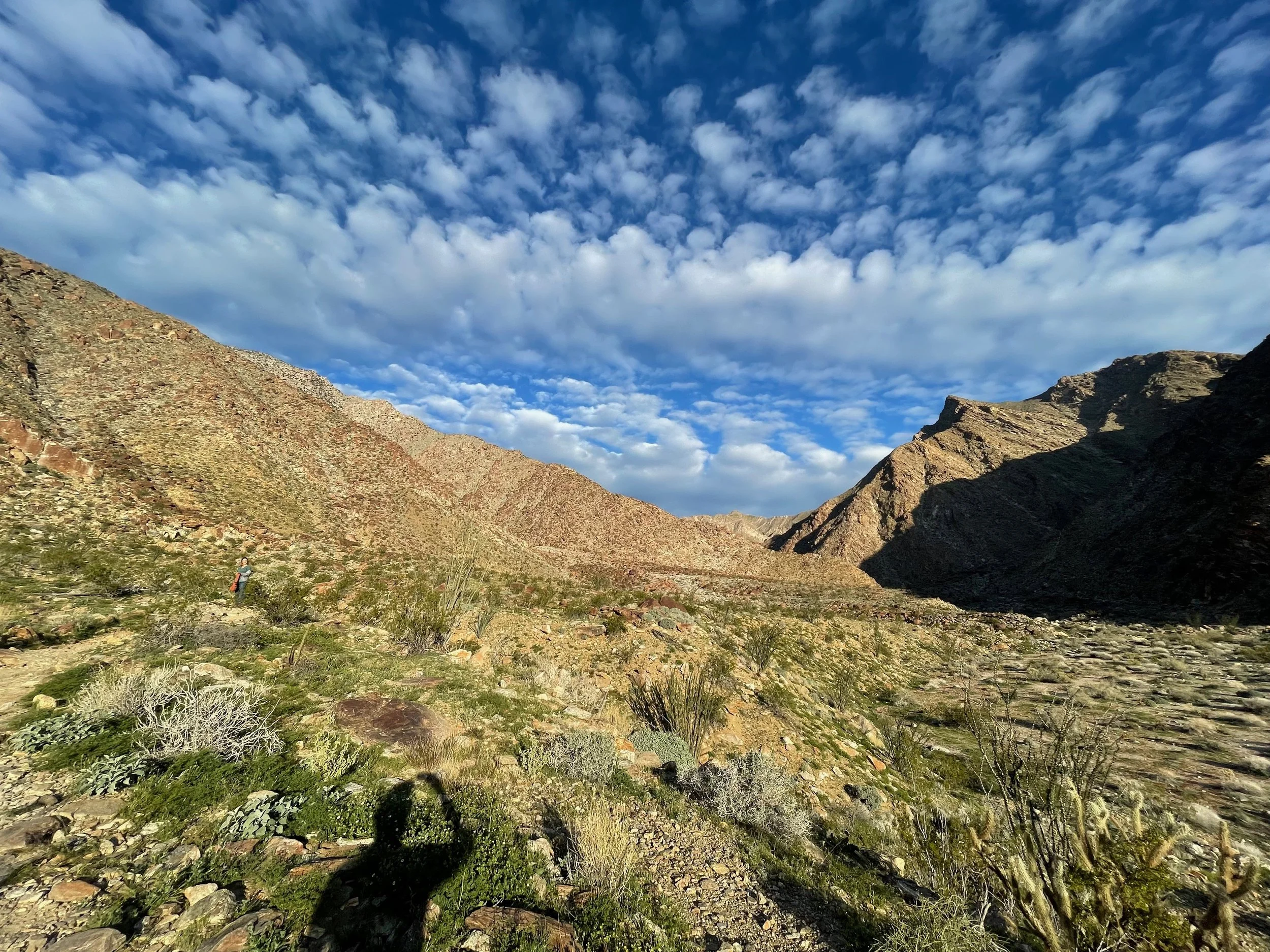 Website - Captain Ryan - 28 of 100.jpeg