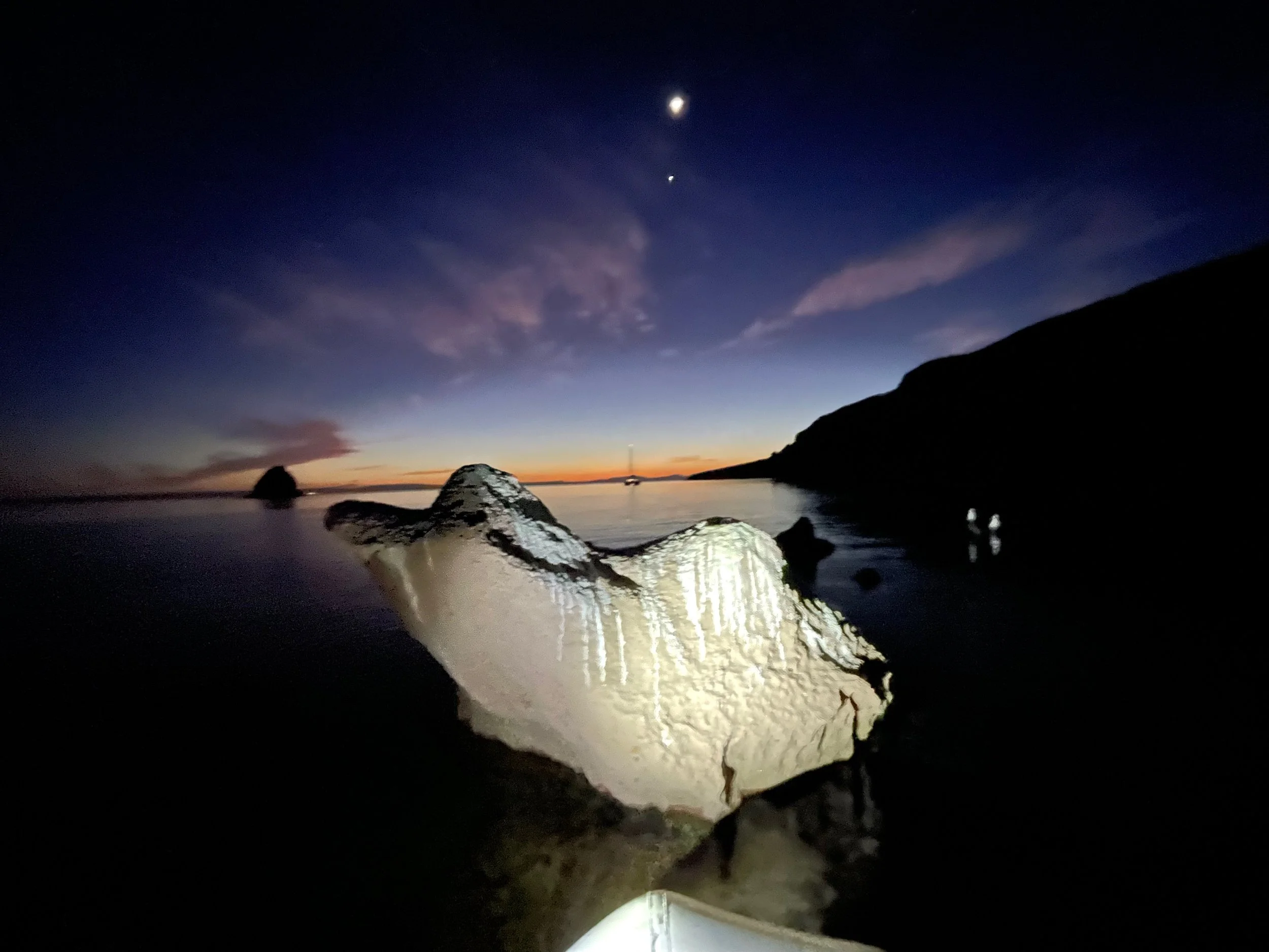 Website - Captain Ryan - 23 of 100.jpeg