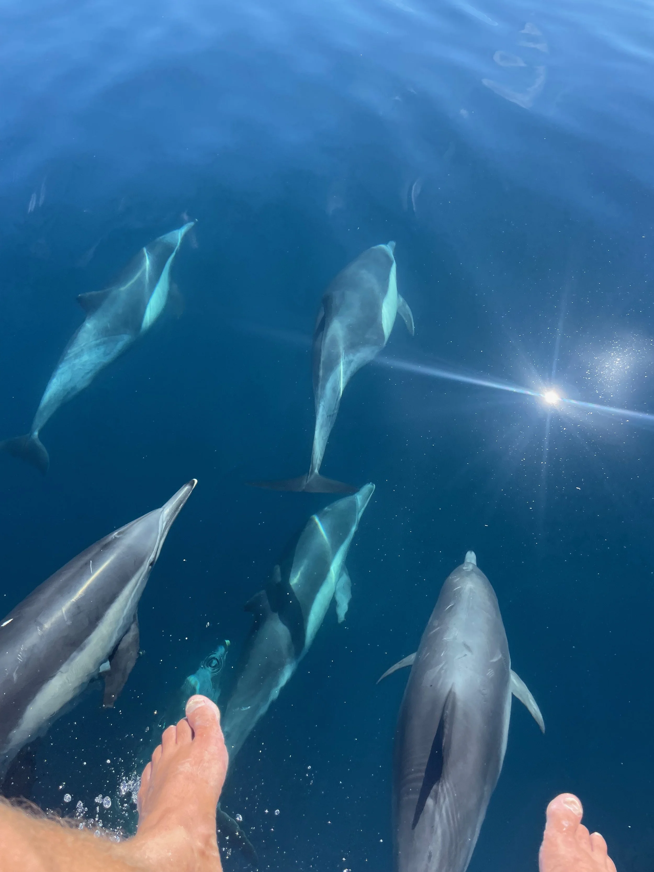 Website - Captain Ryan - 1 of 100.jpeg