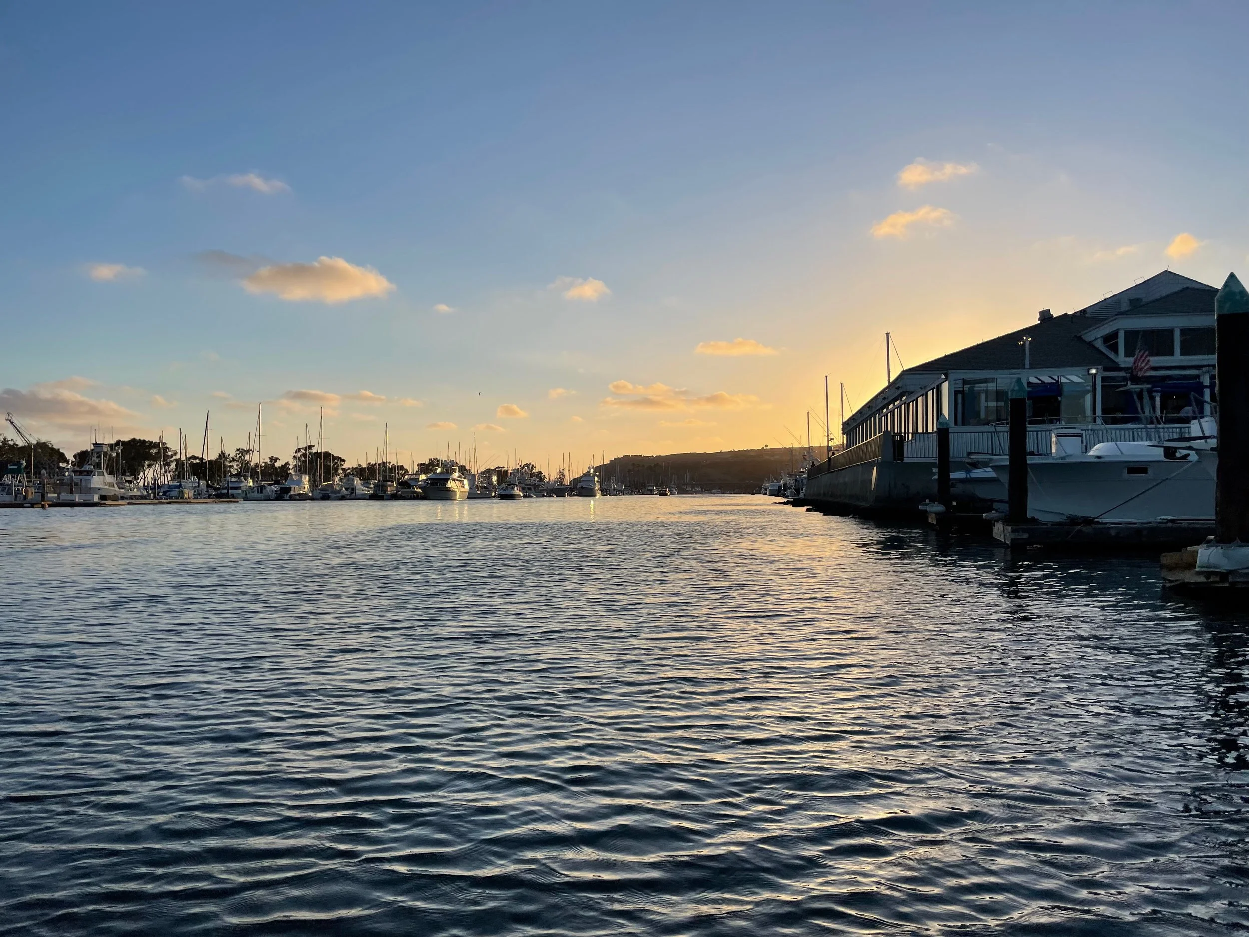 Website - Captain Ryan - 52 of 100.jpeg