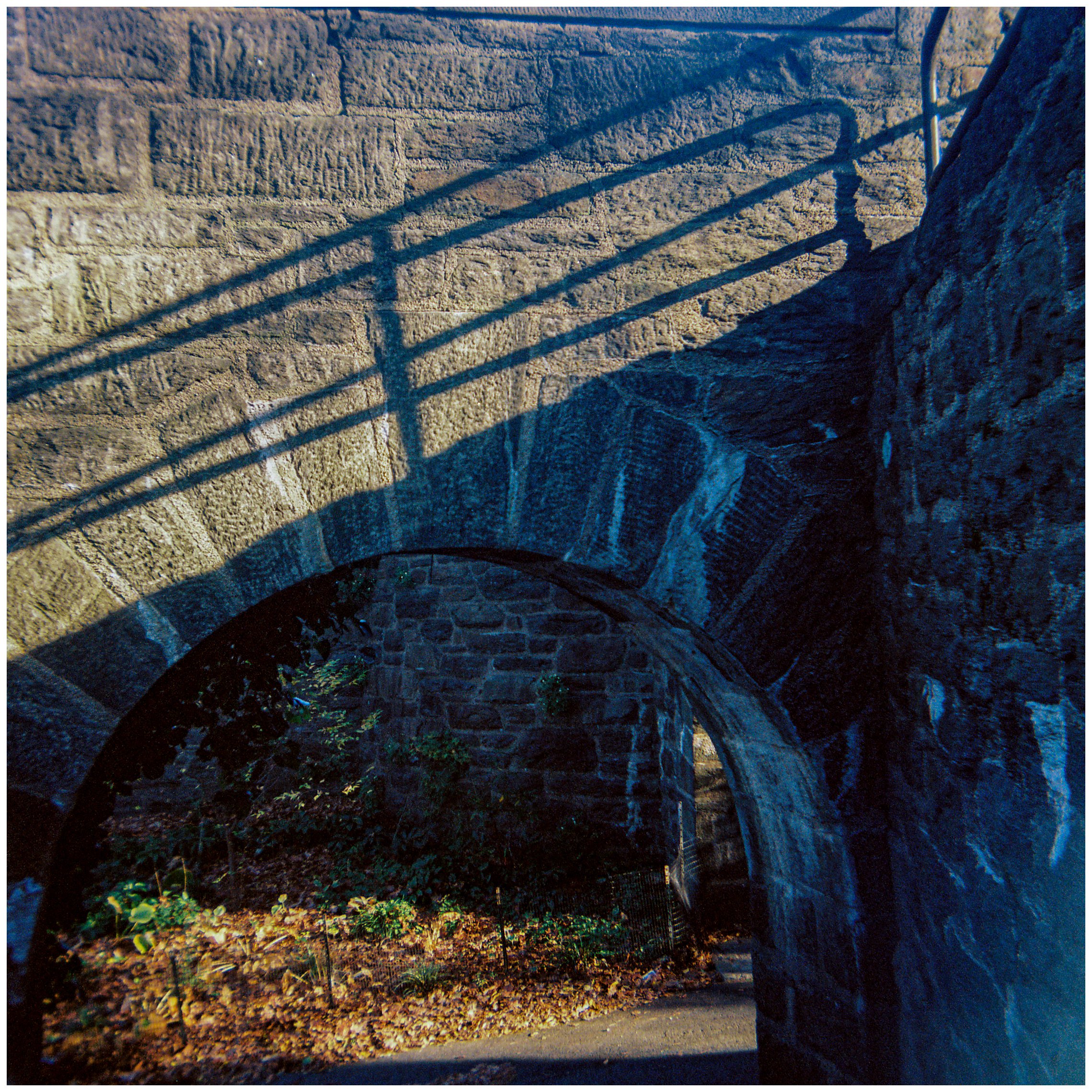  Shot with KODAX Duaflex II (  Kodak 160 Color—Modified spool)   