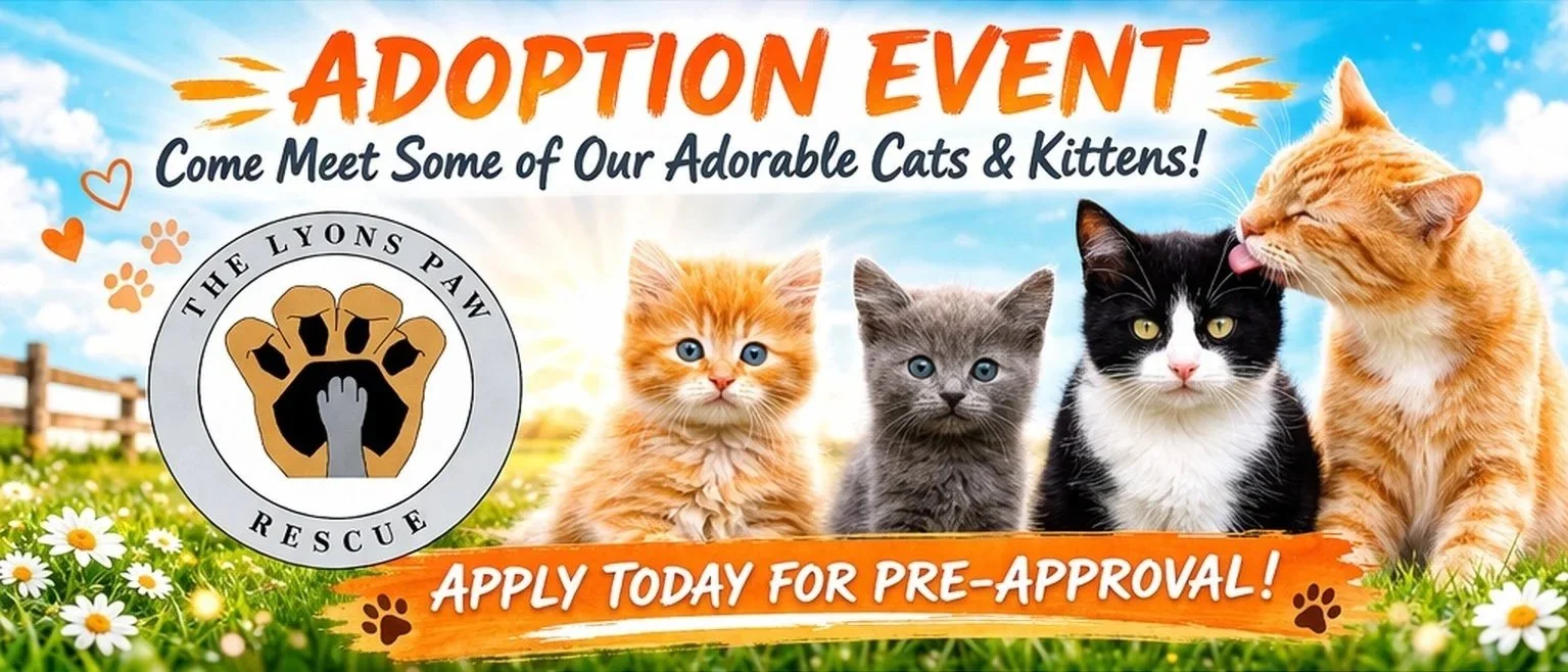 Adoption Event - The Screaming Bean