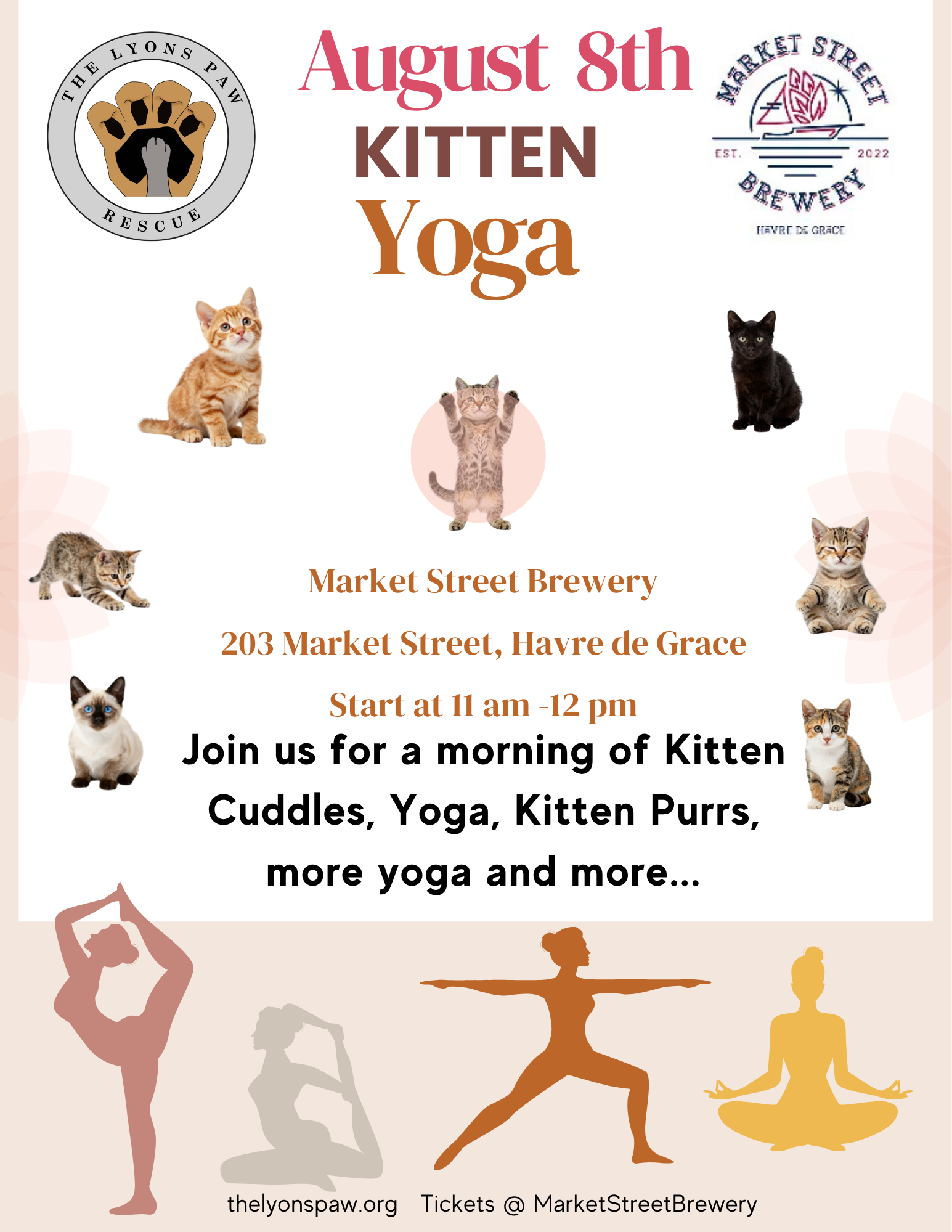 Kitten Yoga