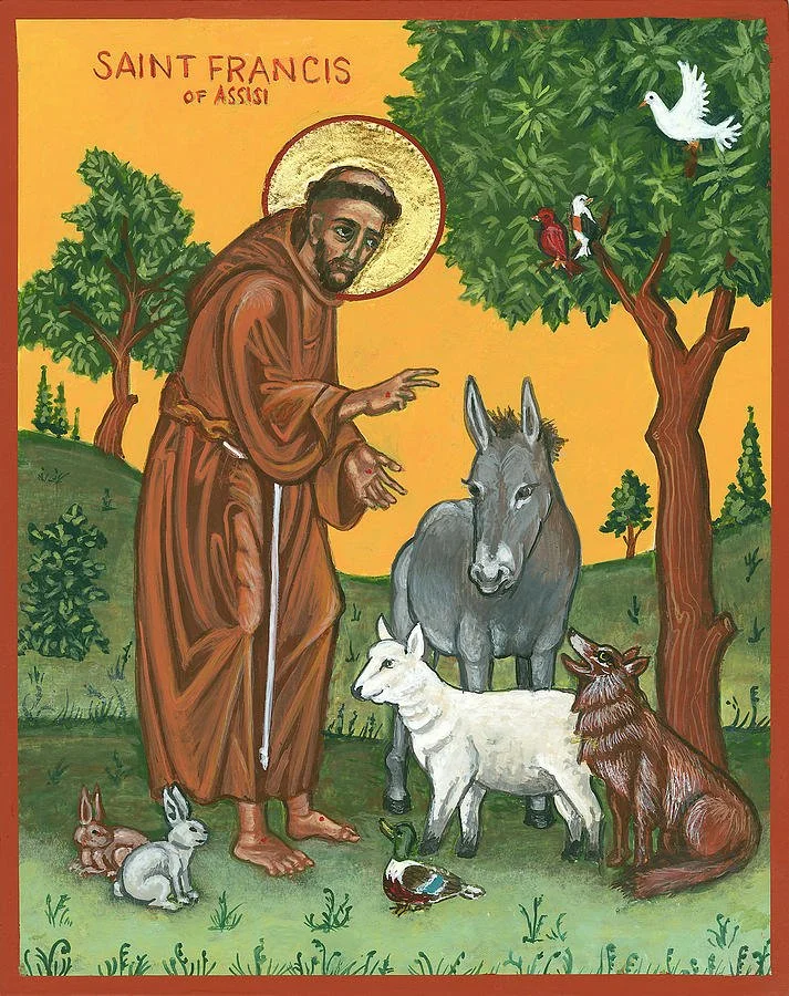 Blessing of Animals